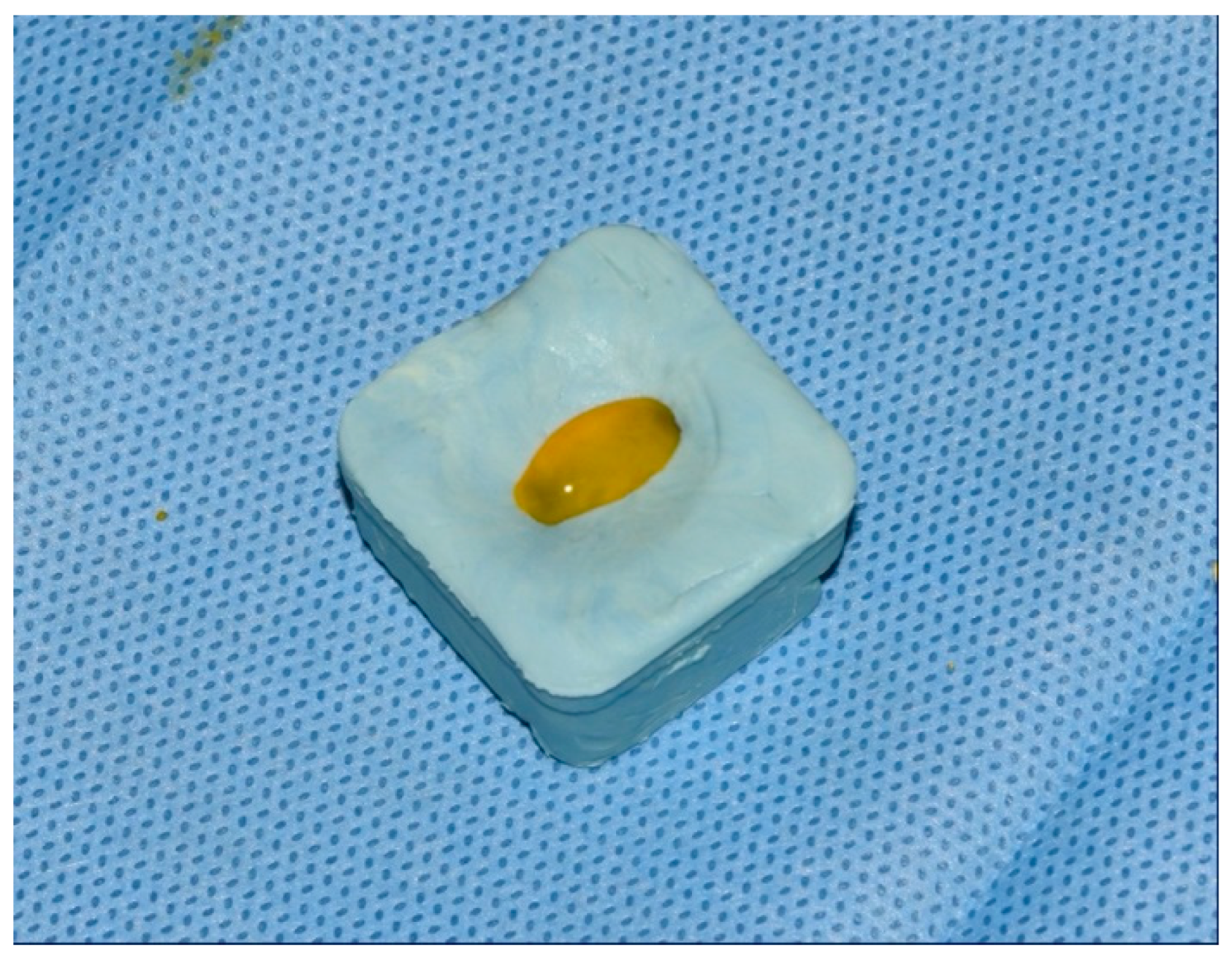 Bioengineering 09 00308 g004 Bioengineering 09 00308 g004