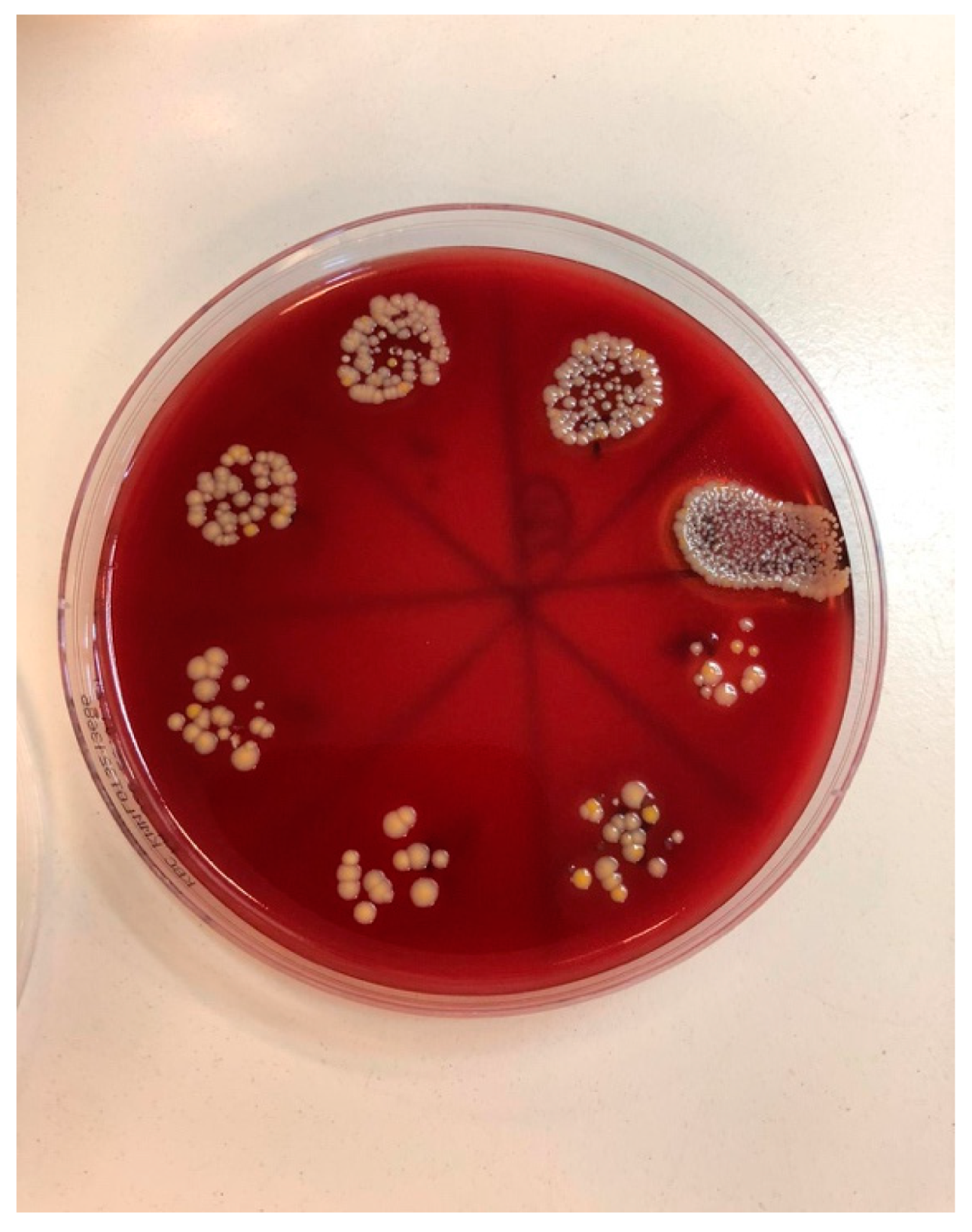 Bioengineering 09 00308 g007 Bioengineering 09 00308 g007