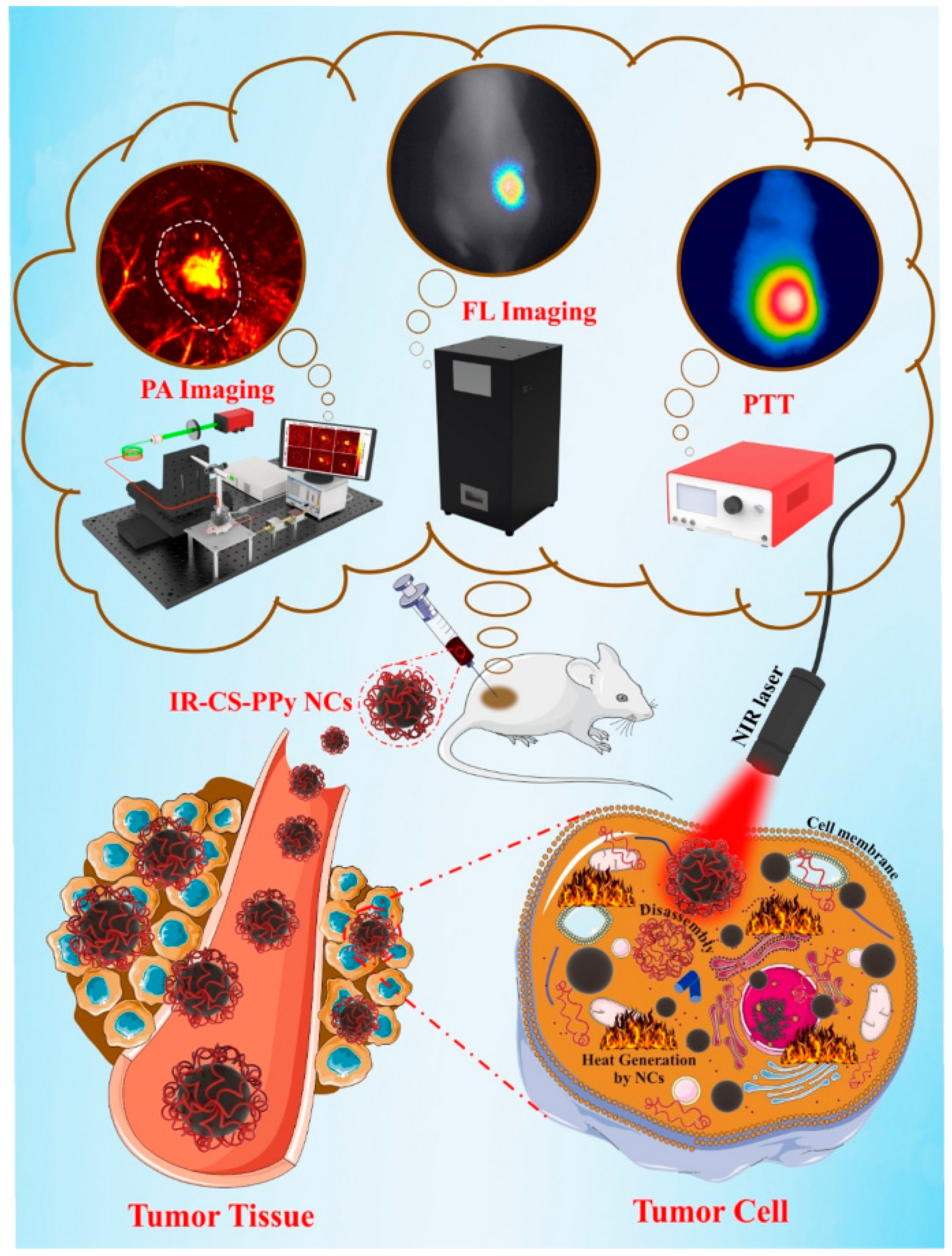 Bioengineering 09 00320 g006