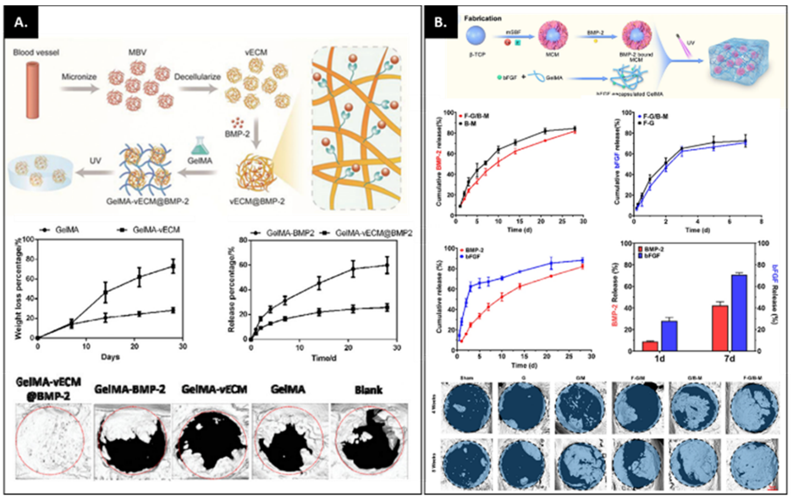 Bioengineering 09 00332 g003