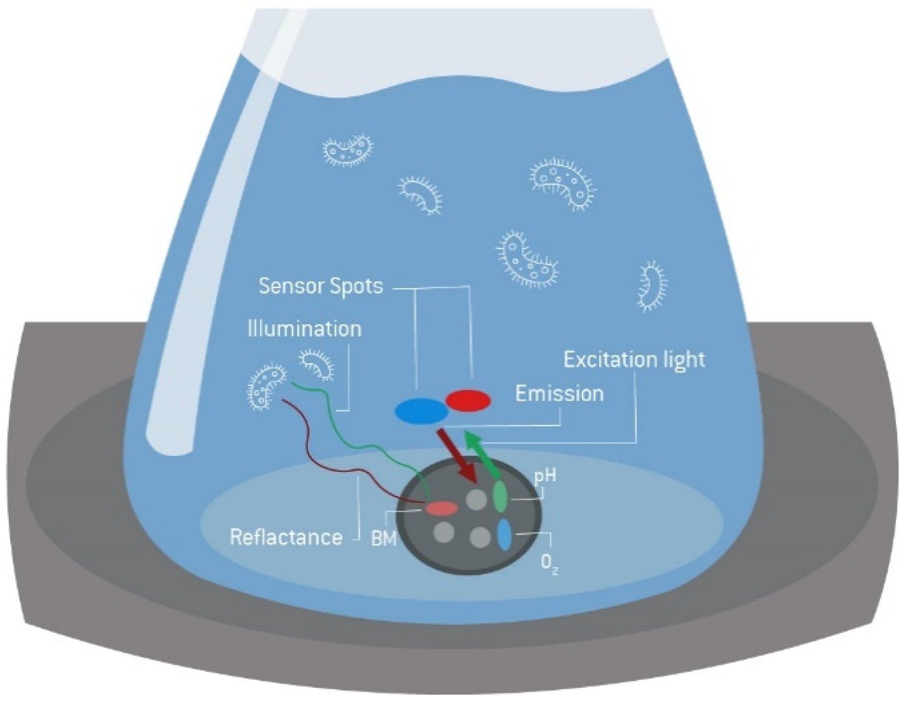 Bioengineering 09 00339 g007