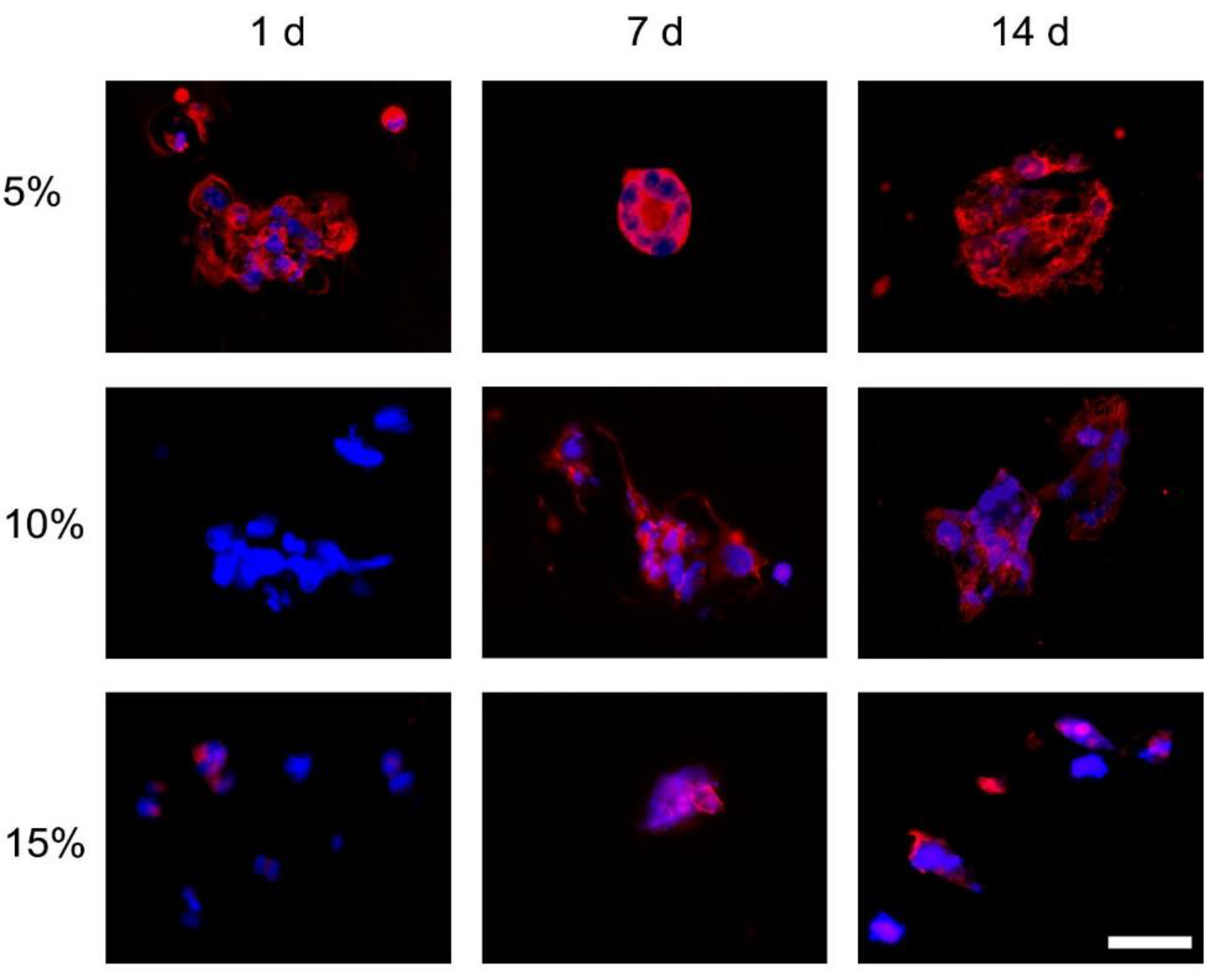 Bioengineering 09 00340 g003