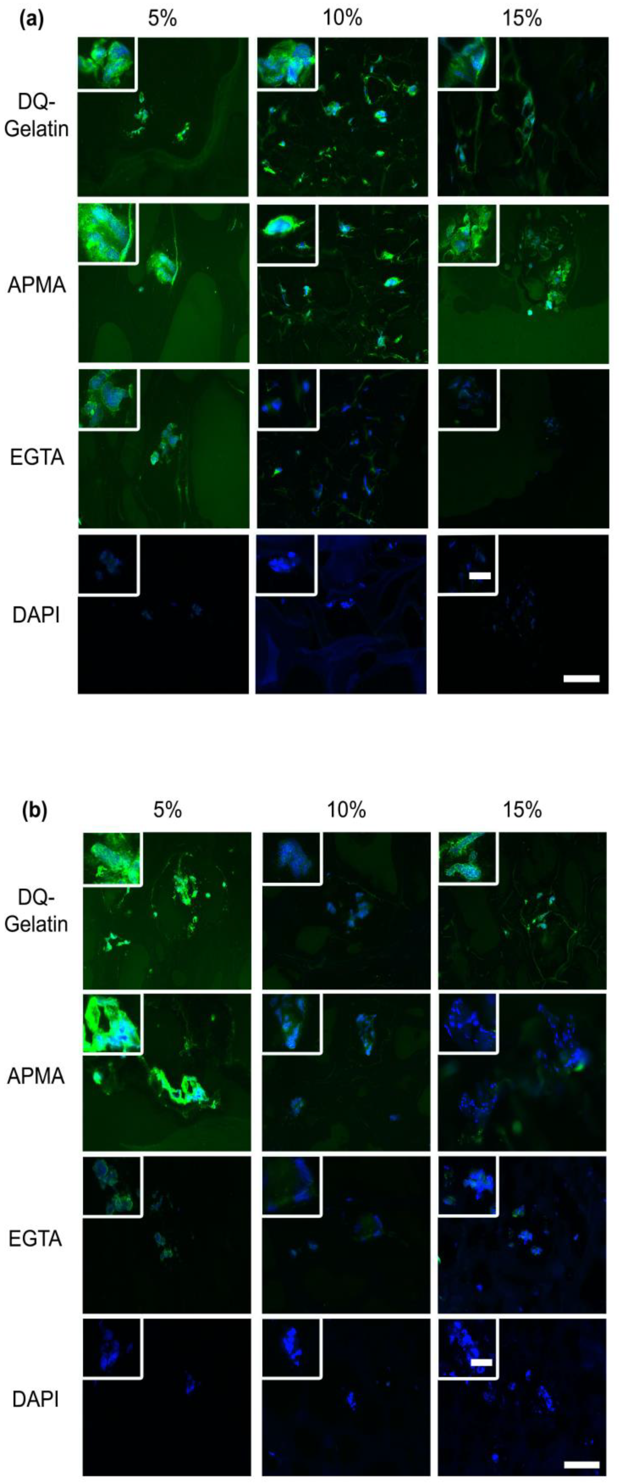 Bioengineering 09 00340 g005