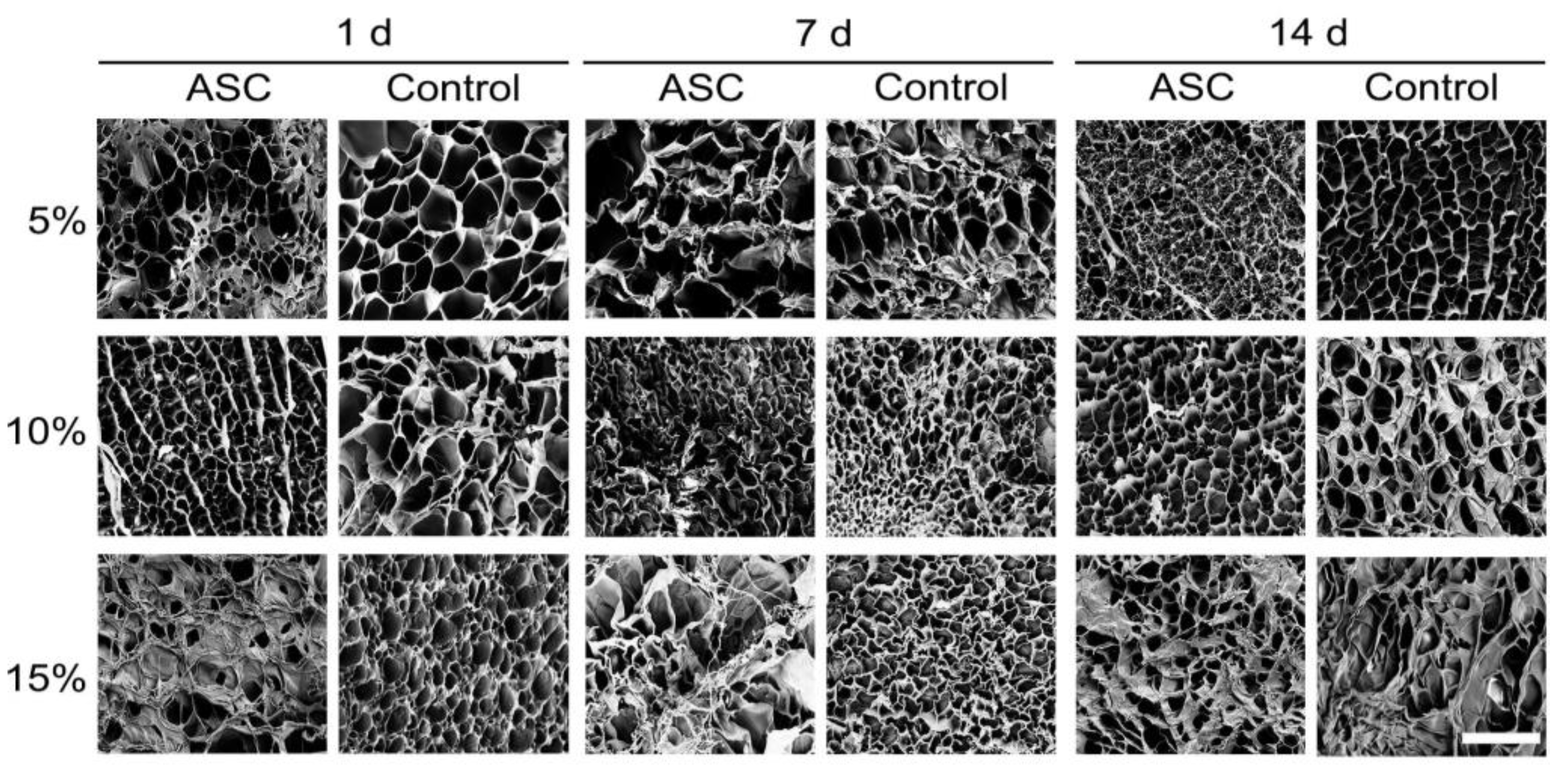 Bioengineering 09 00340 g007