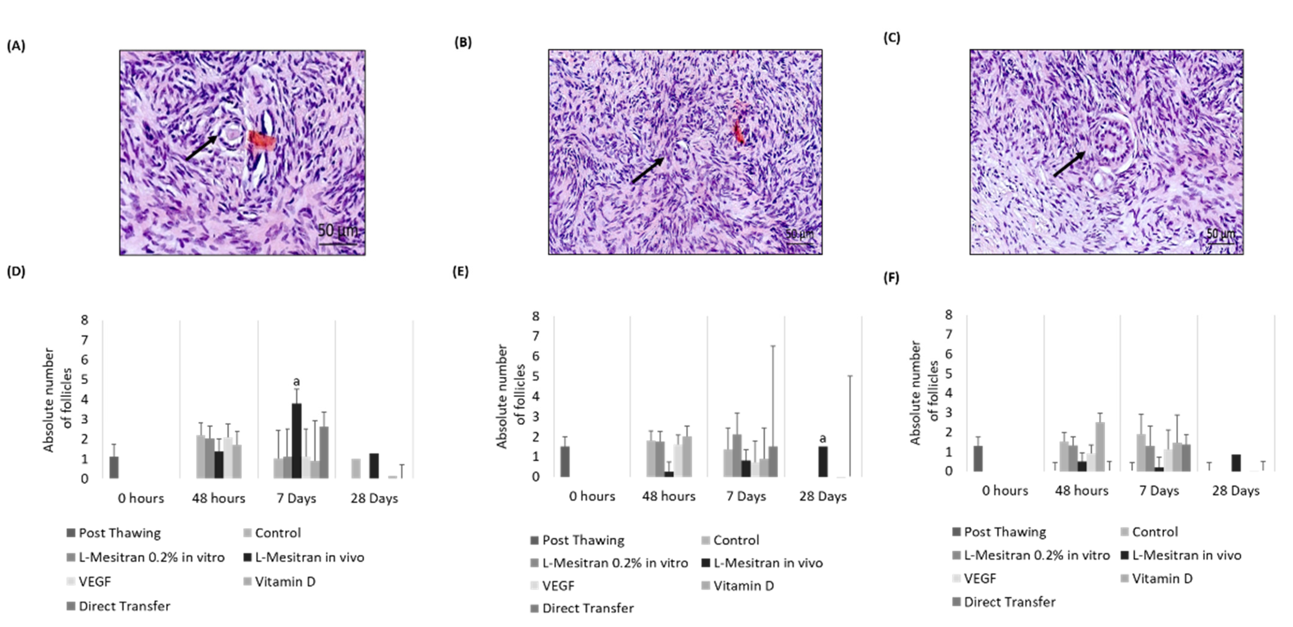Bioengineering 09 00357 g005