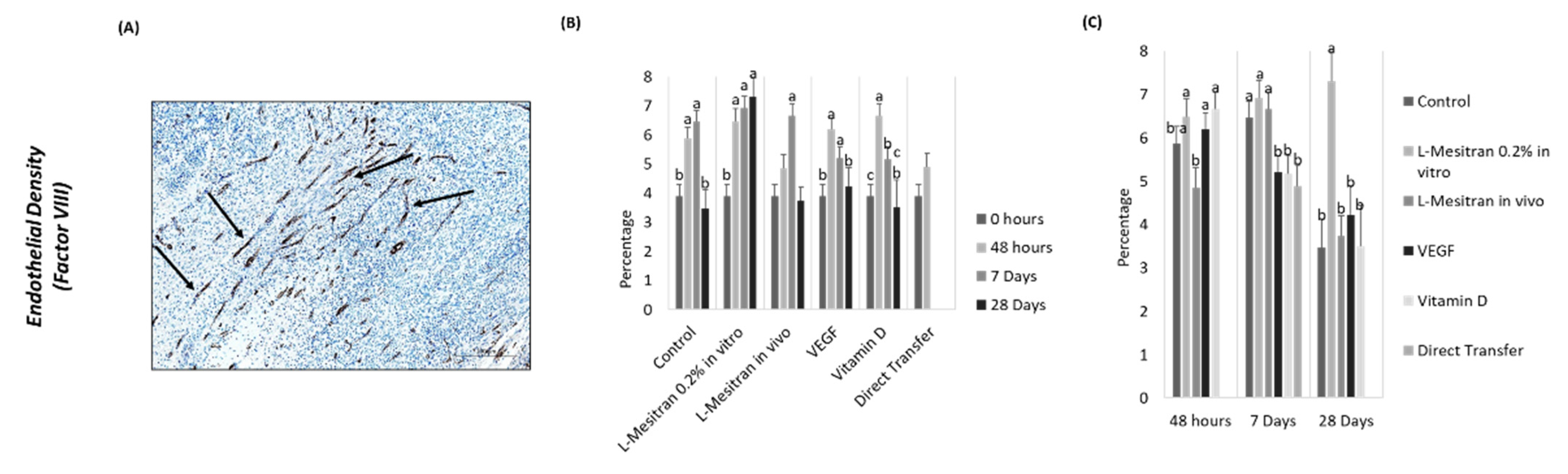 Bioengineering 09 00357 g006