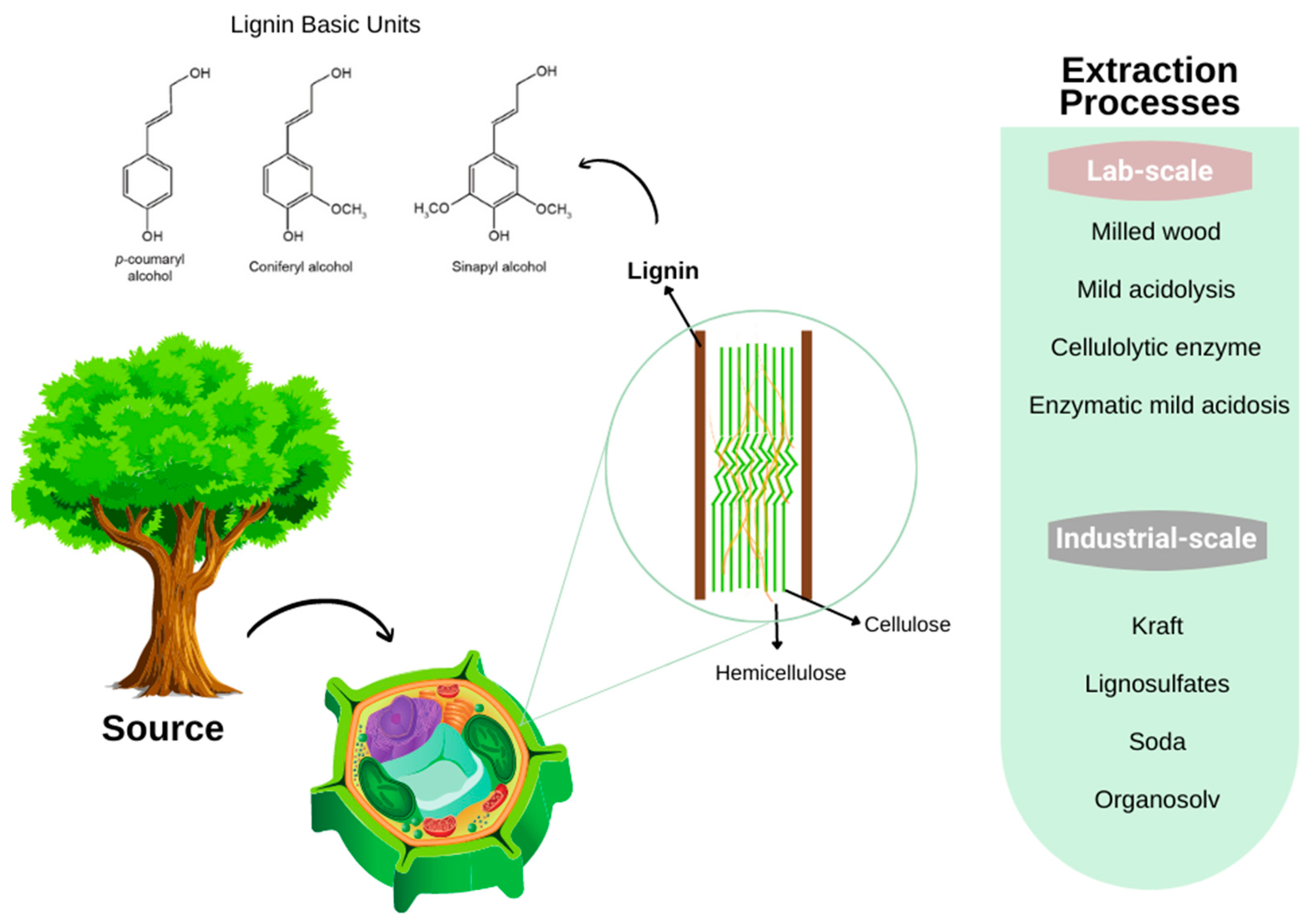 Bioengineering 09 00376 g008