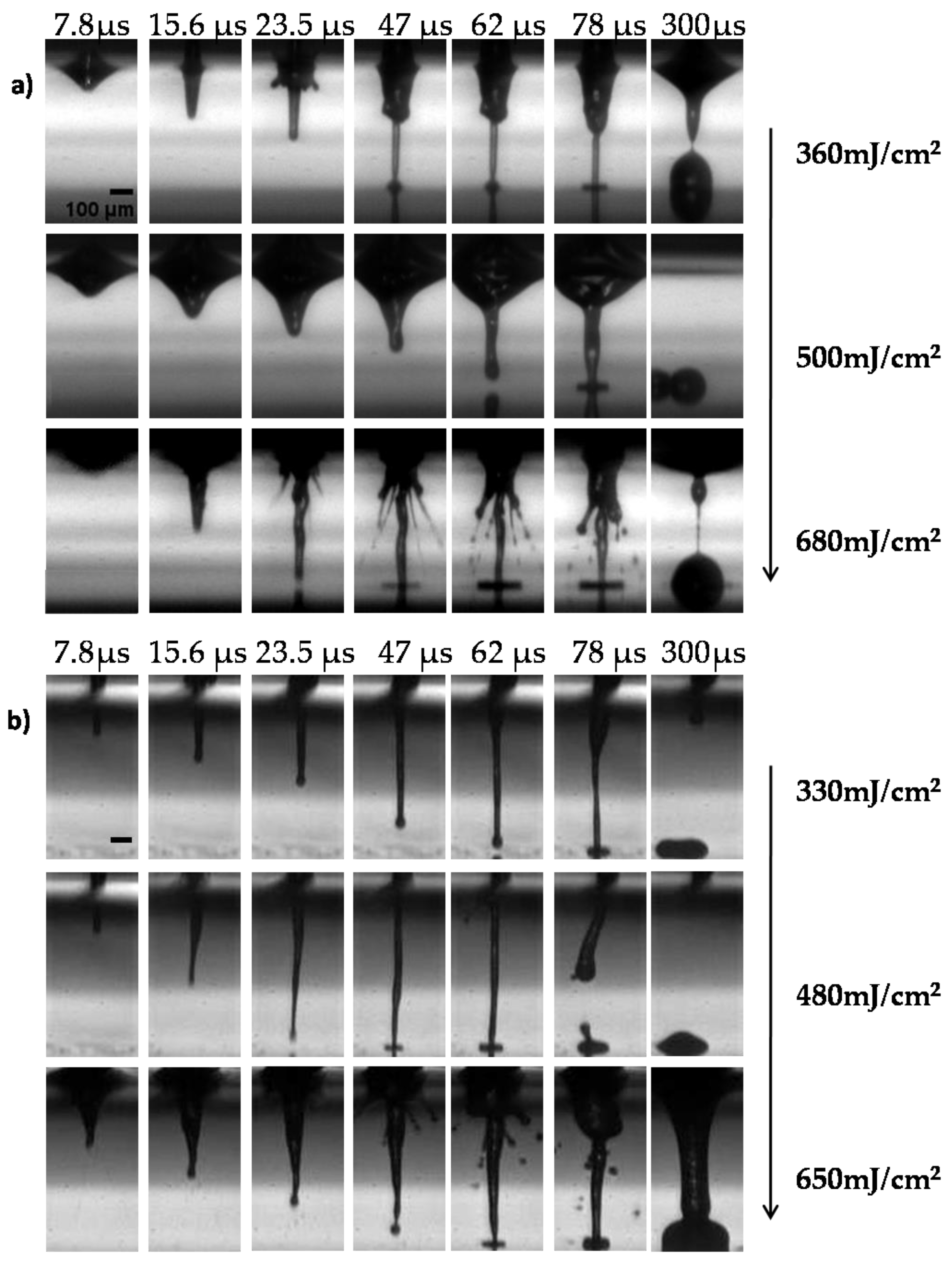 Bioengineering | Free Full-Text | Laser Bioprinting Of Cells Using UV ...