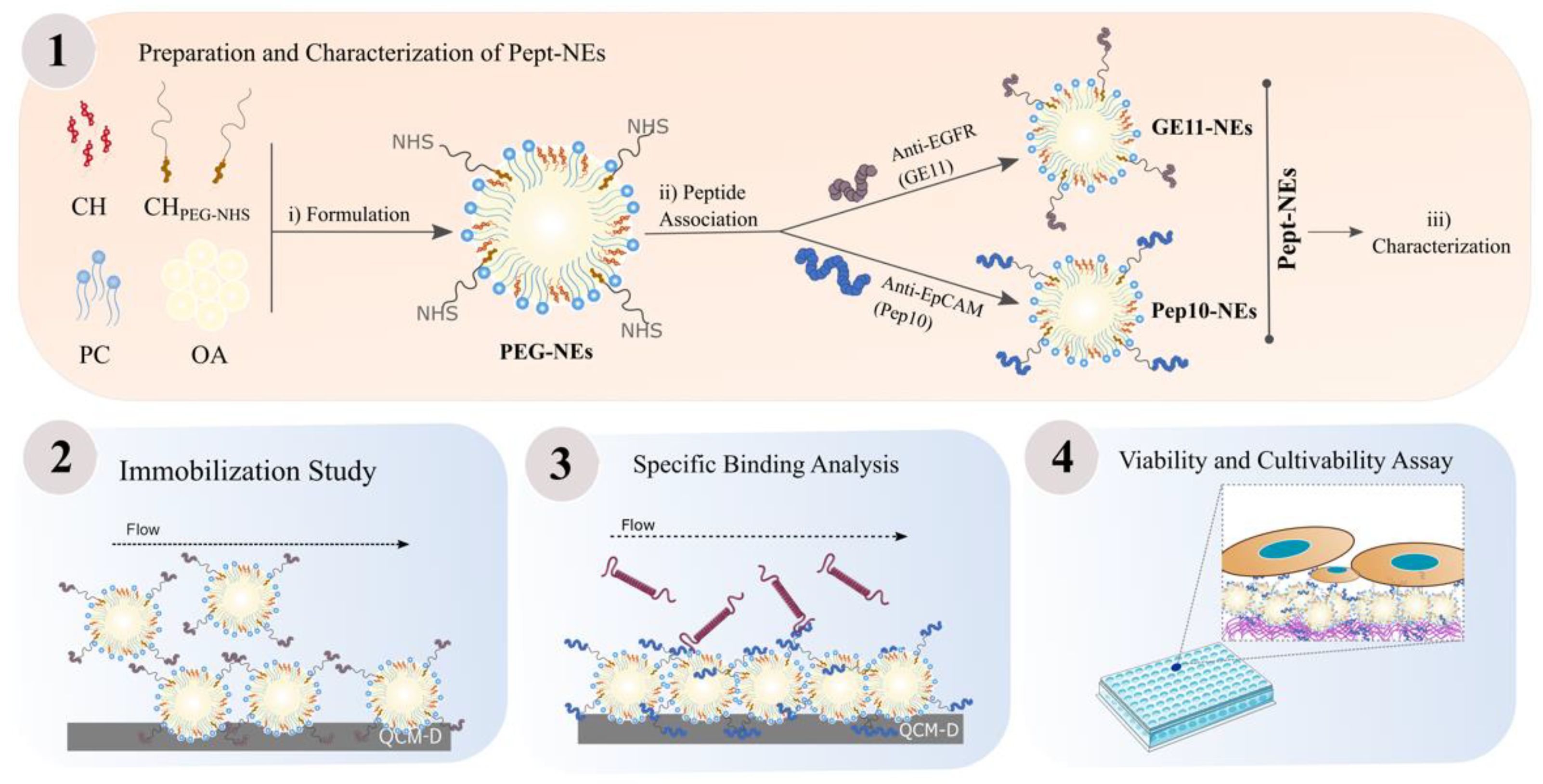 Bioengineering 09 00380 g001