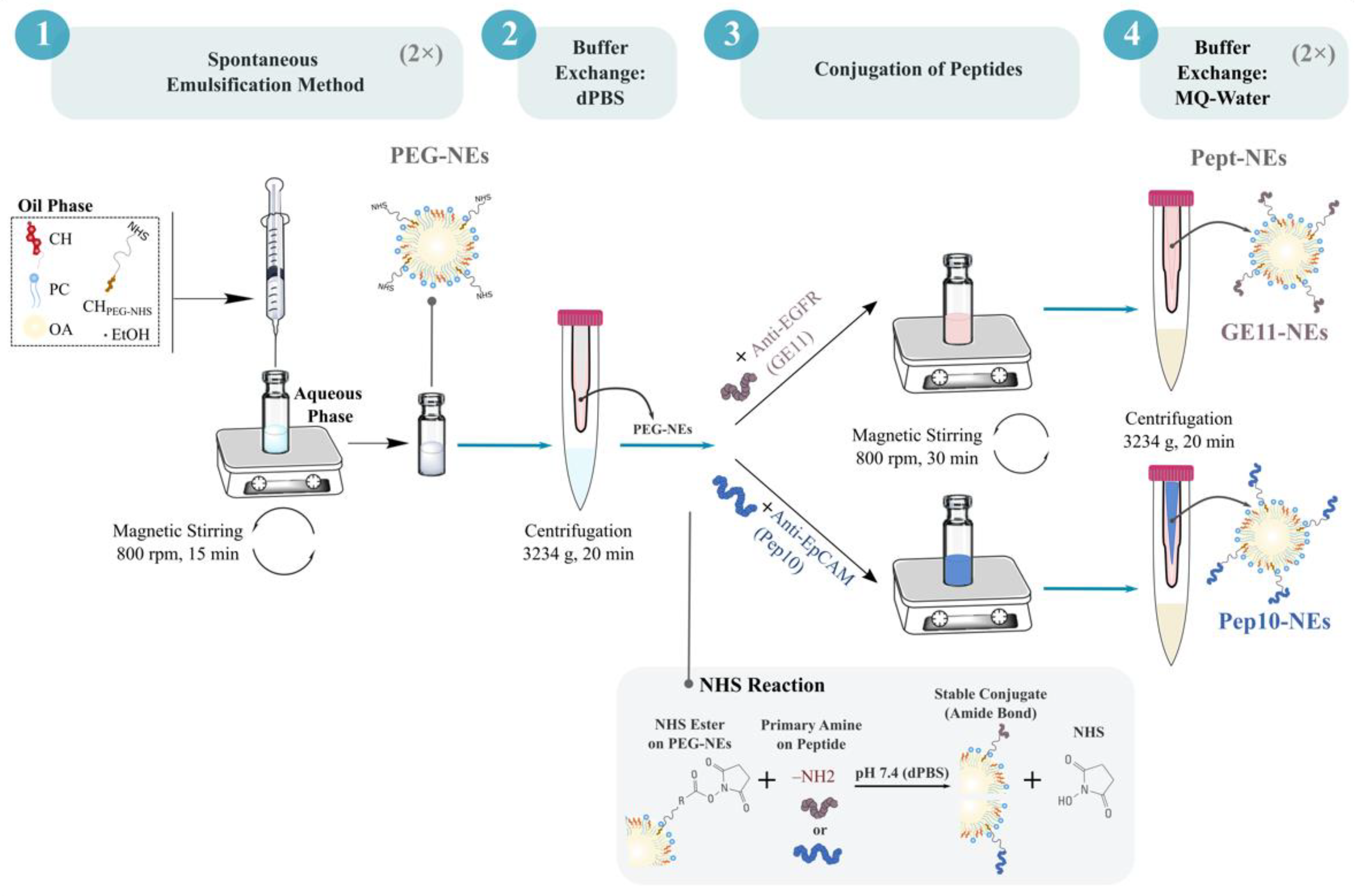 Bioengineering 09 00380 g002