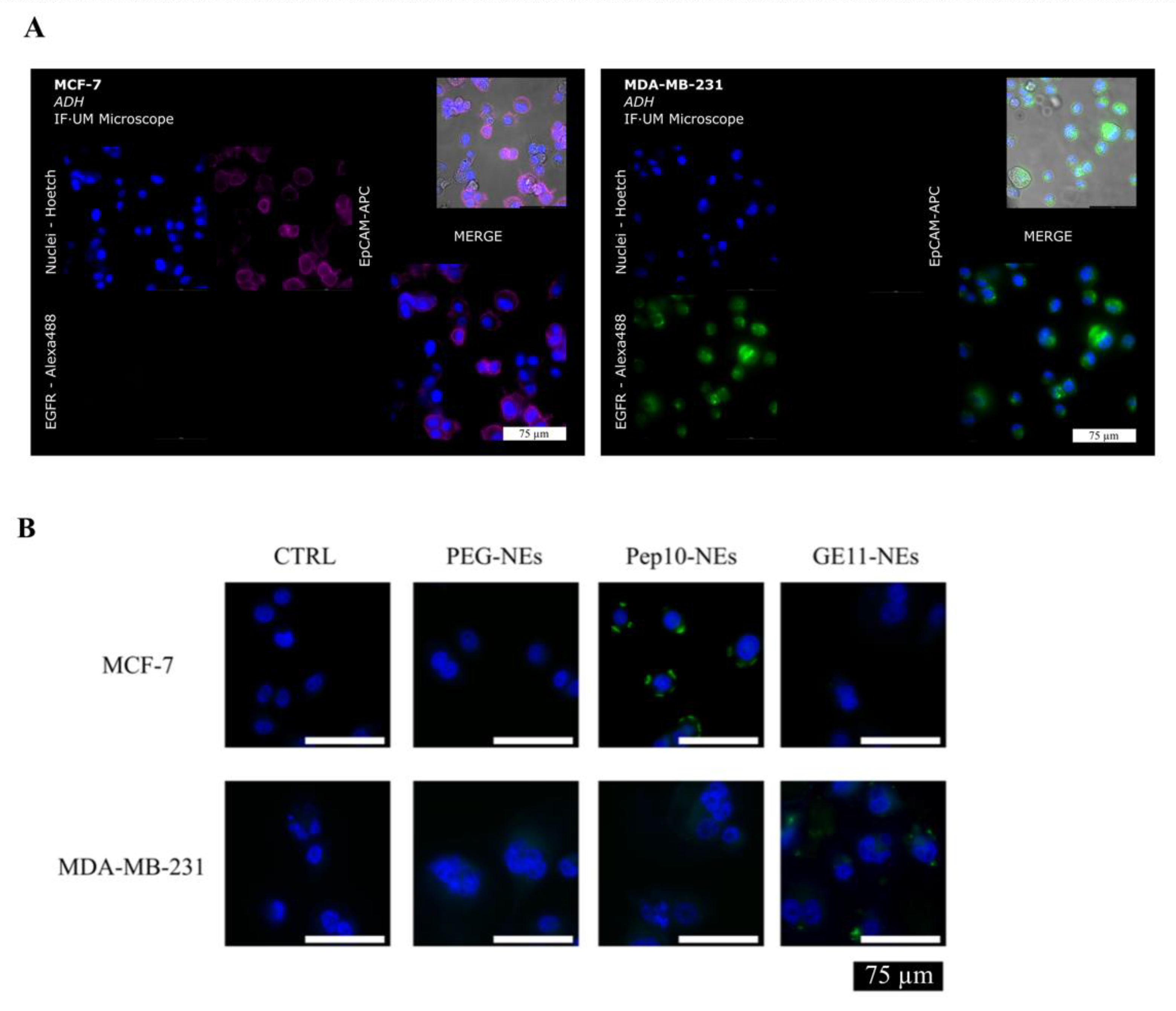 Bioengineering 09 00380 g006