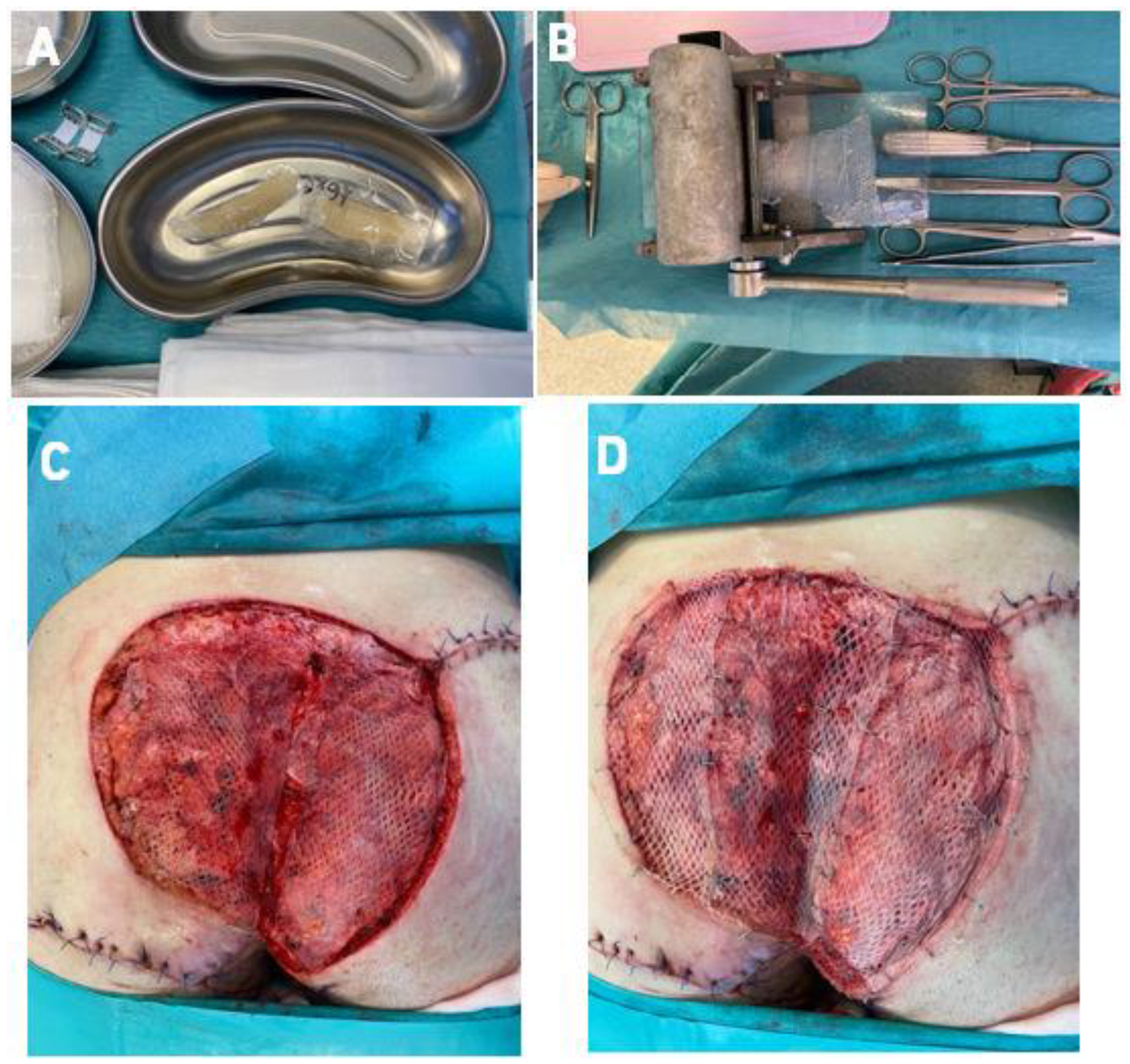 Bioengineering 09 00389 g003