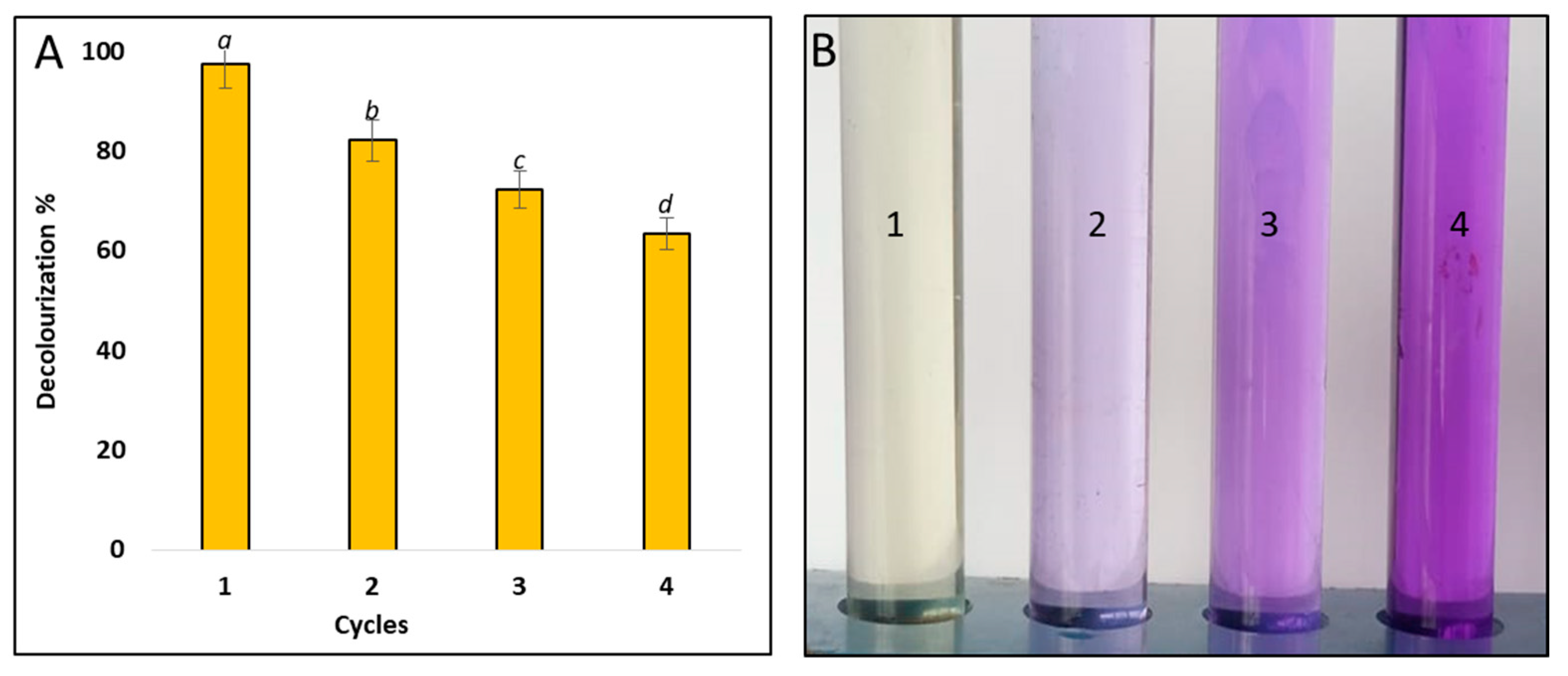 Bioengineering 09 00397 g008