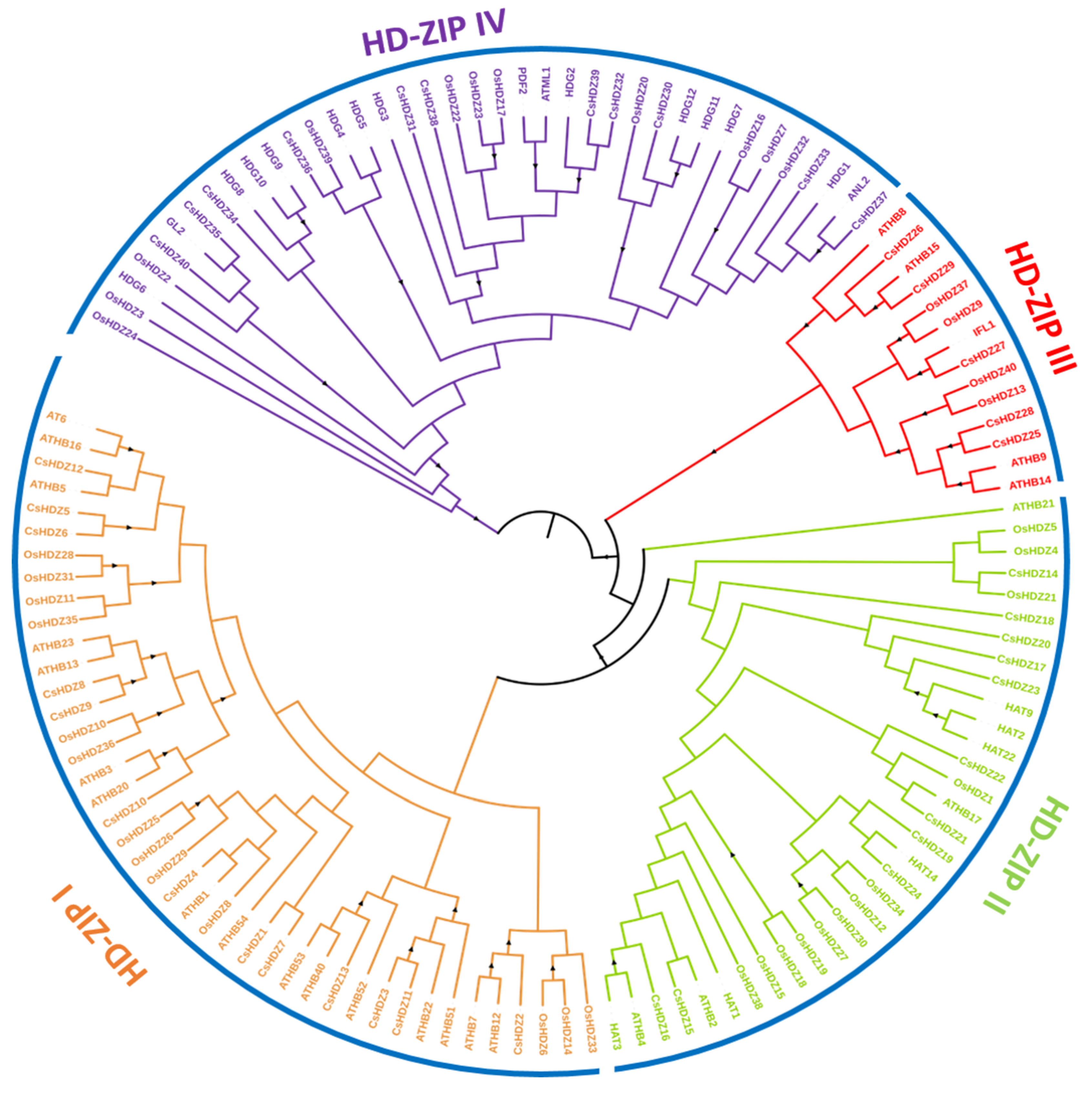 Bioengineering 09 00398 g002