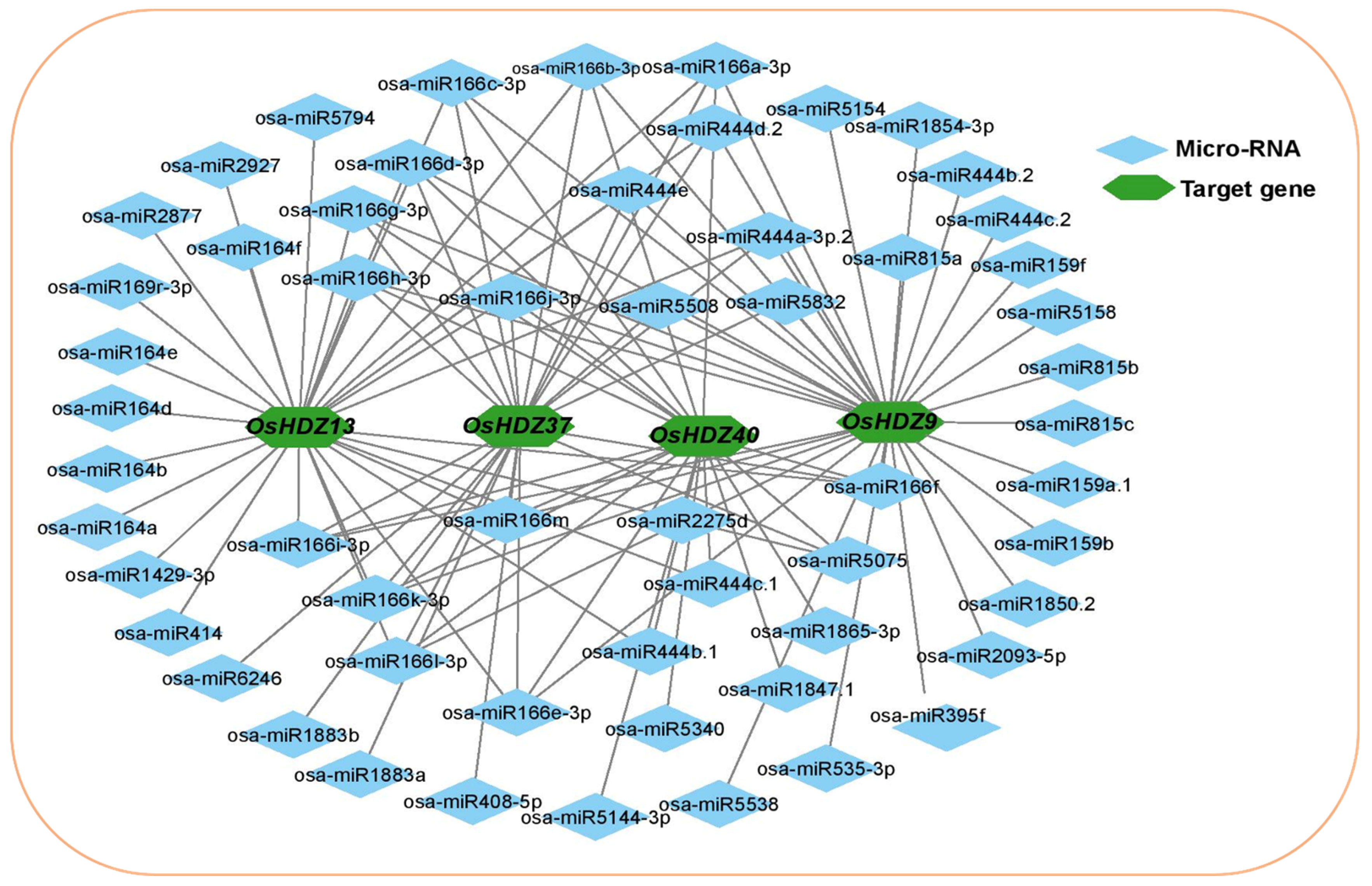 Bioengineering 09 00398 g004
