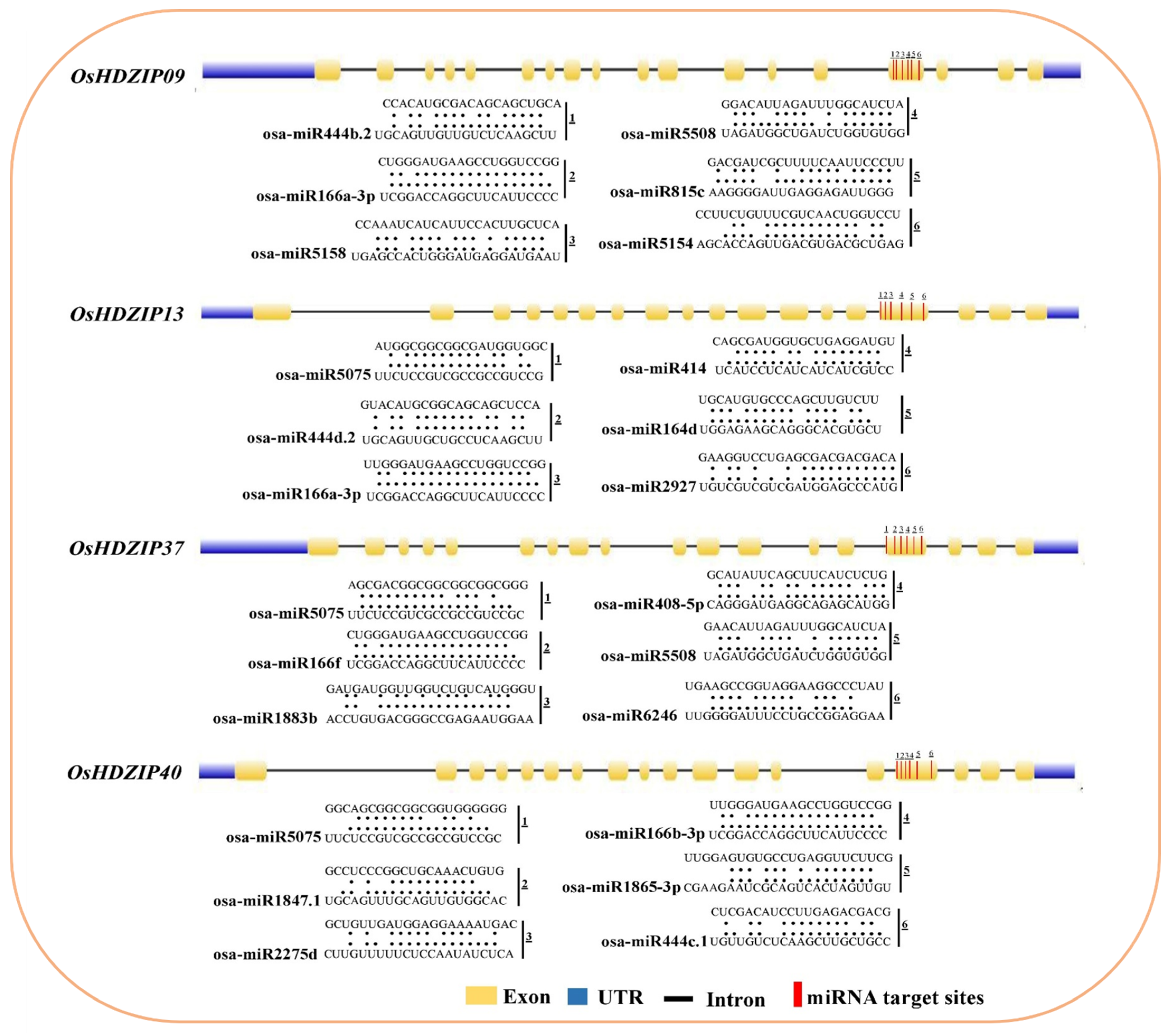 Bioengineering 09 00398 g005
