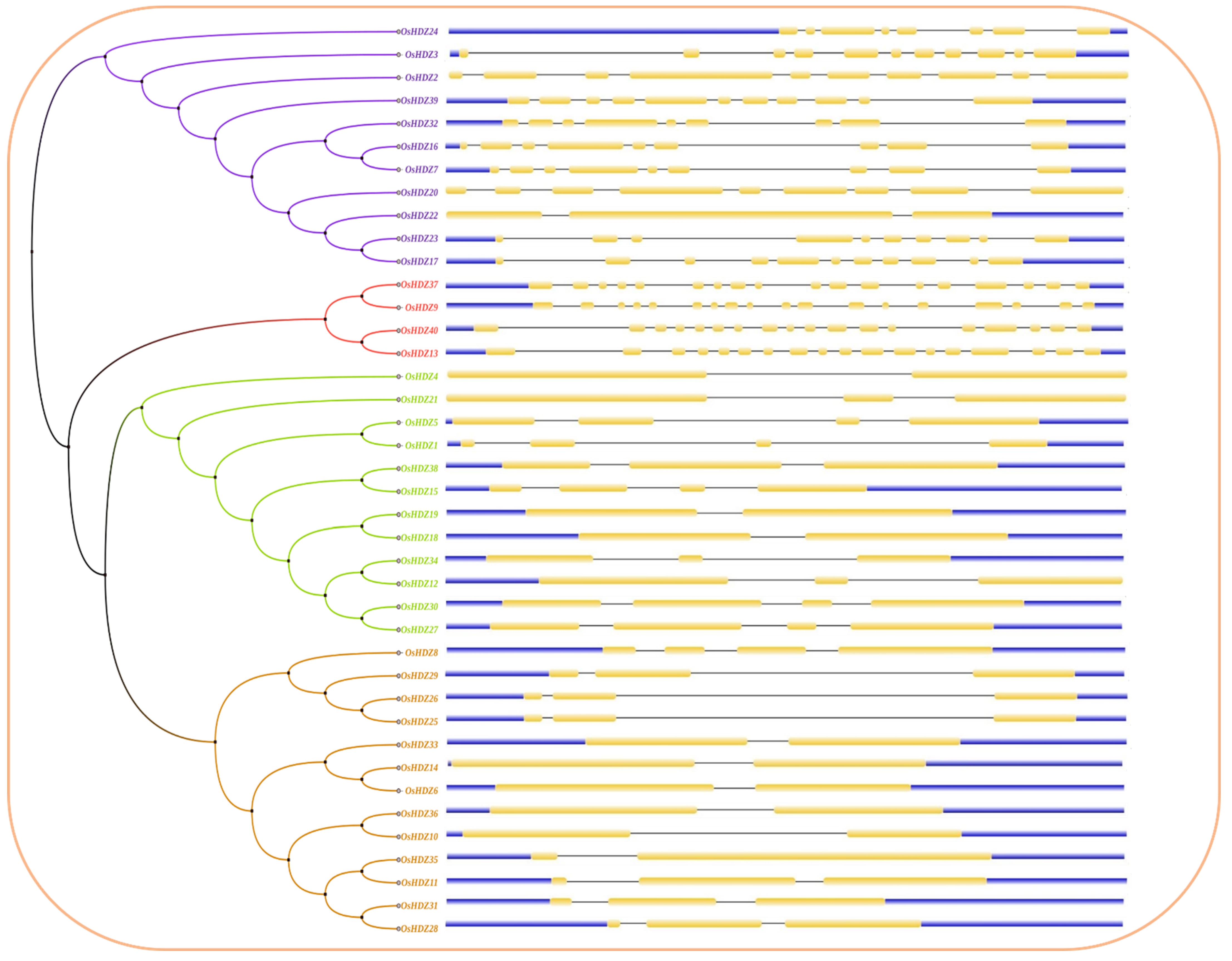 Bioengineering 09 00398 g007