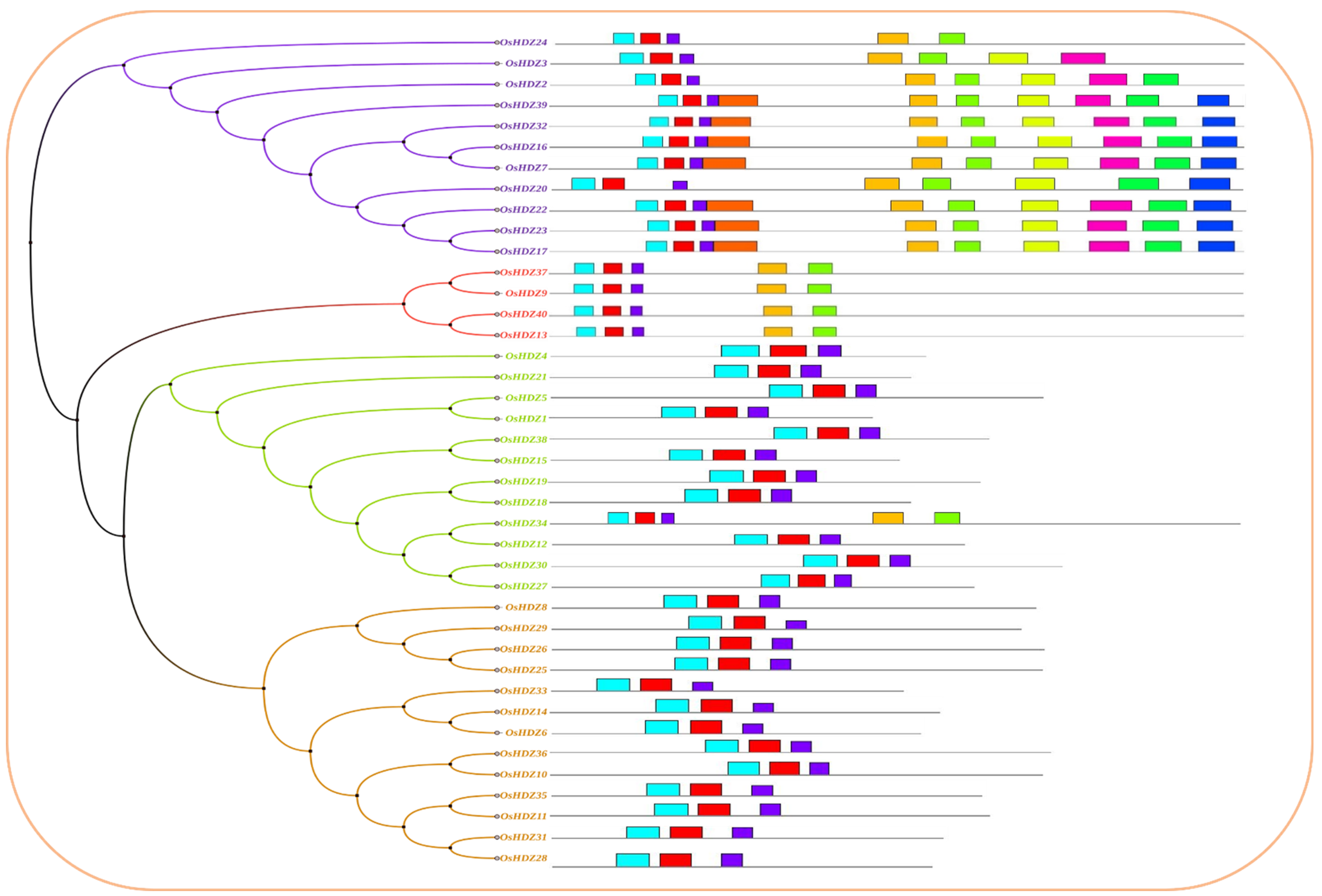Bioengineering 09 00398 g008