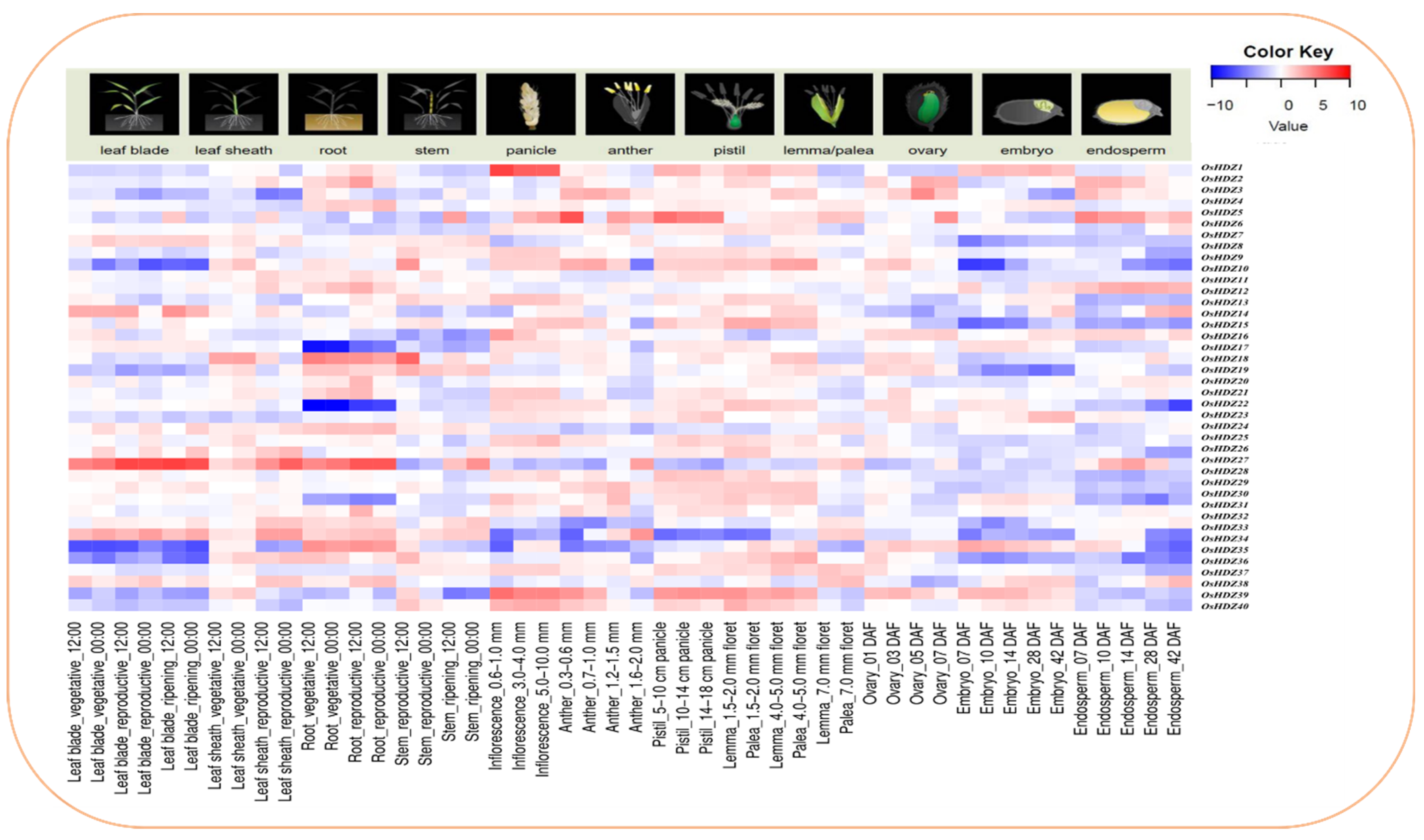 Bioengineering 09 00398 g009