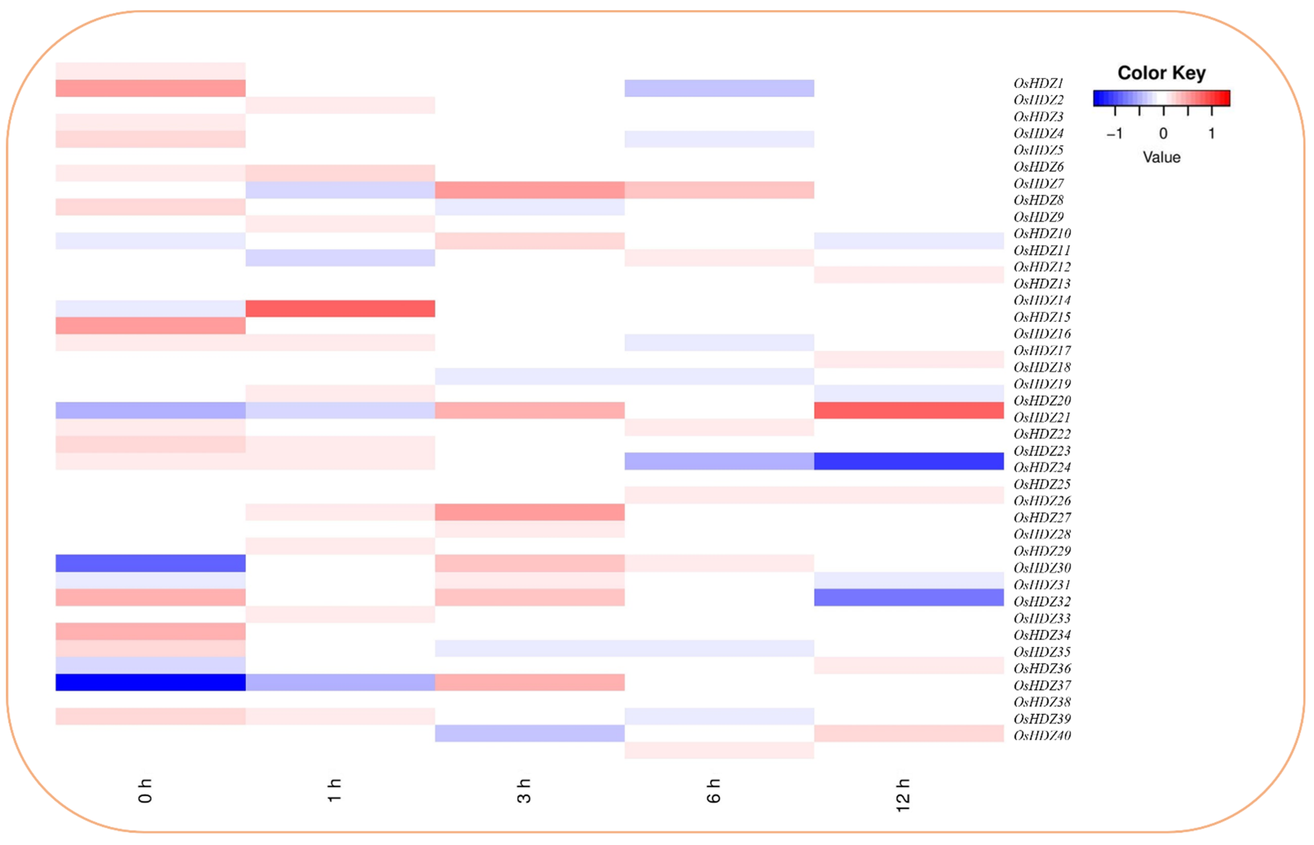Bioengineering 09 00398 g012
