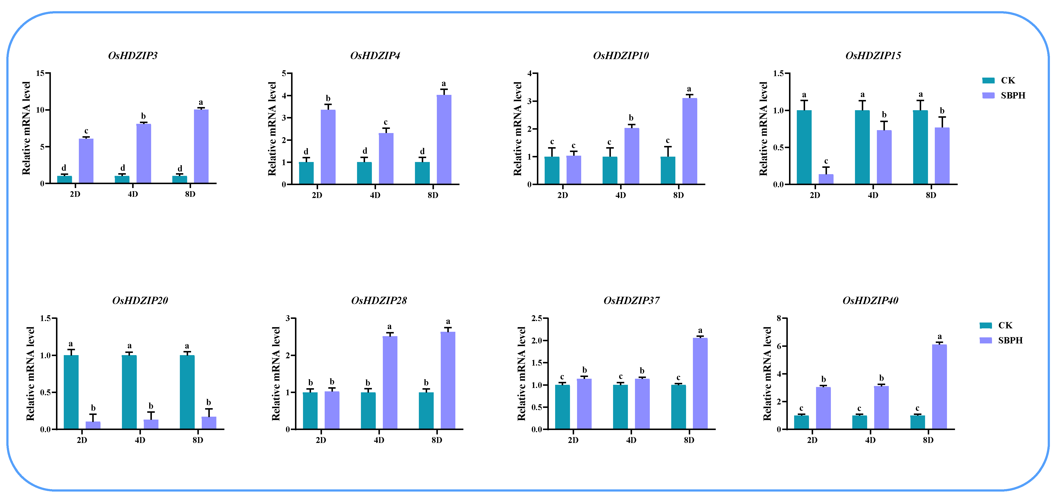 Bioengineering 09 00398 g014