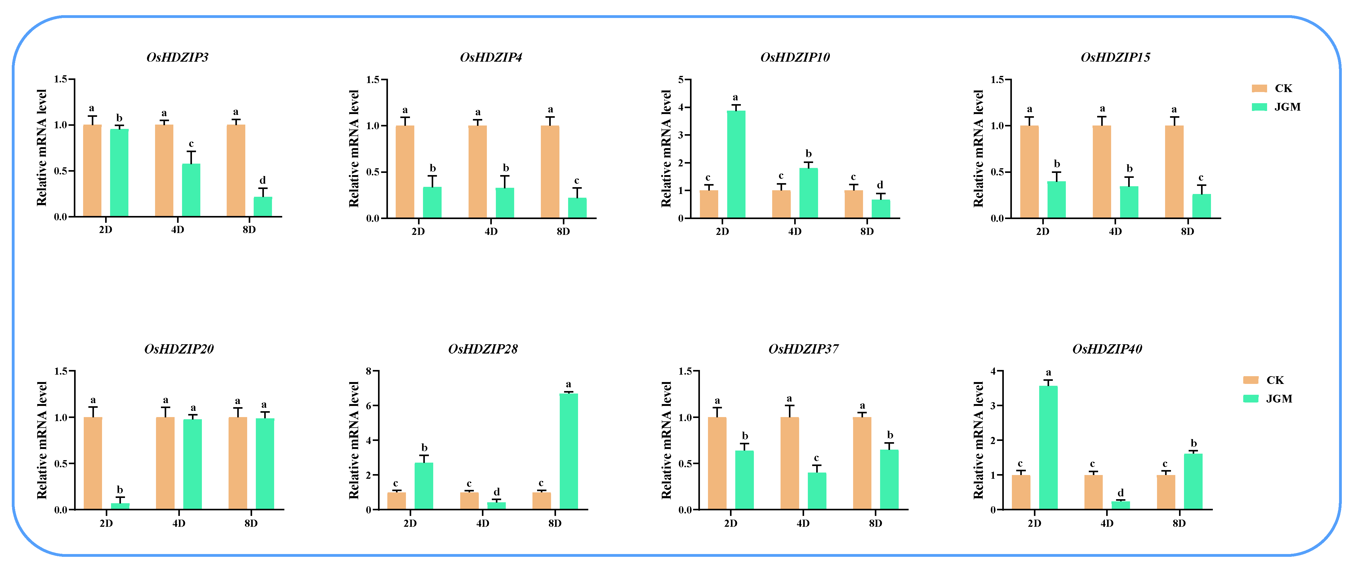 Bioengineering 09 00398 g015