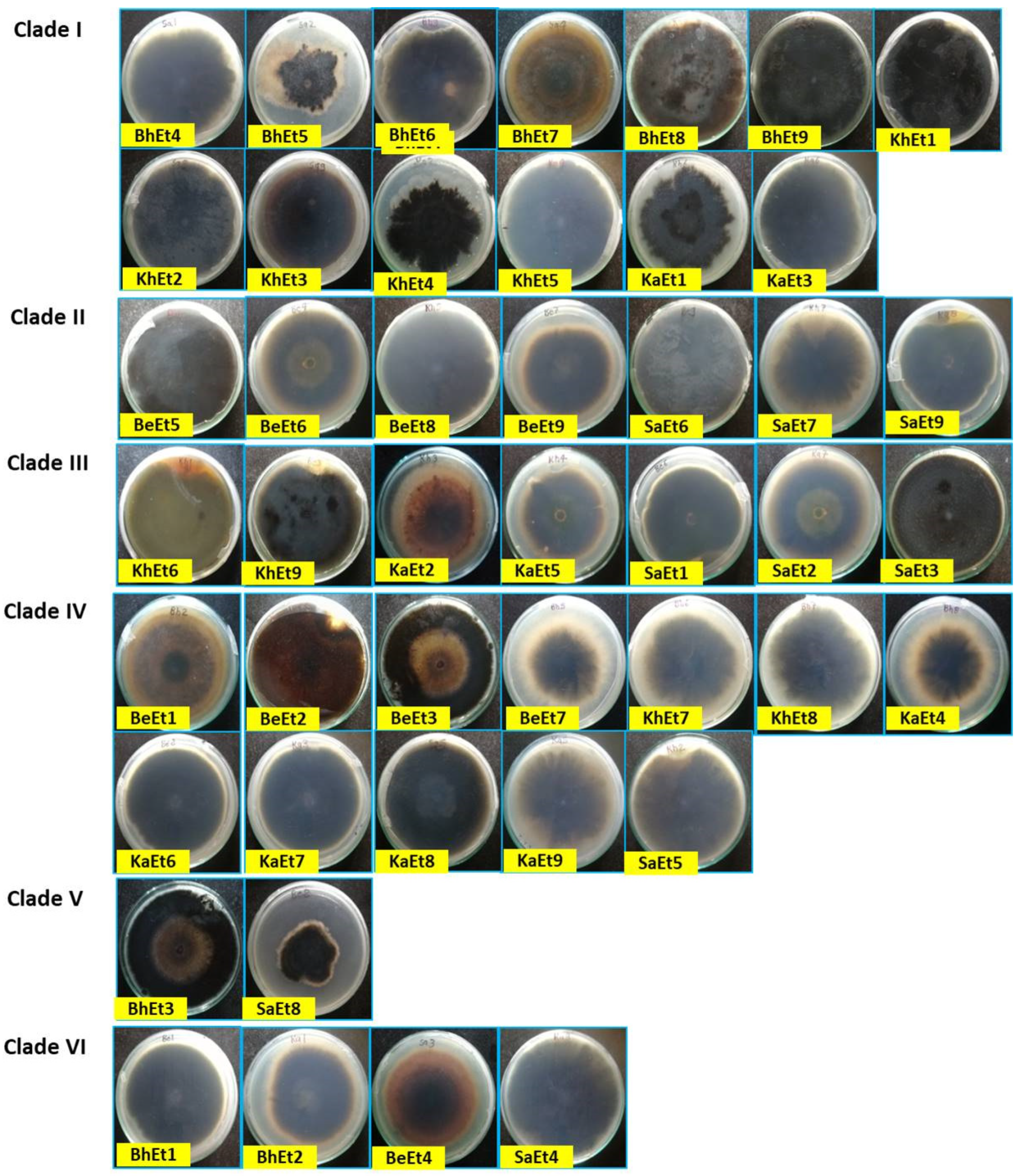 Bioengineering 09 00403 g002