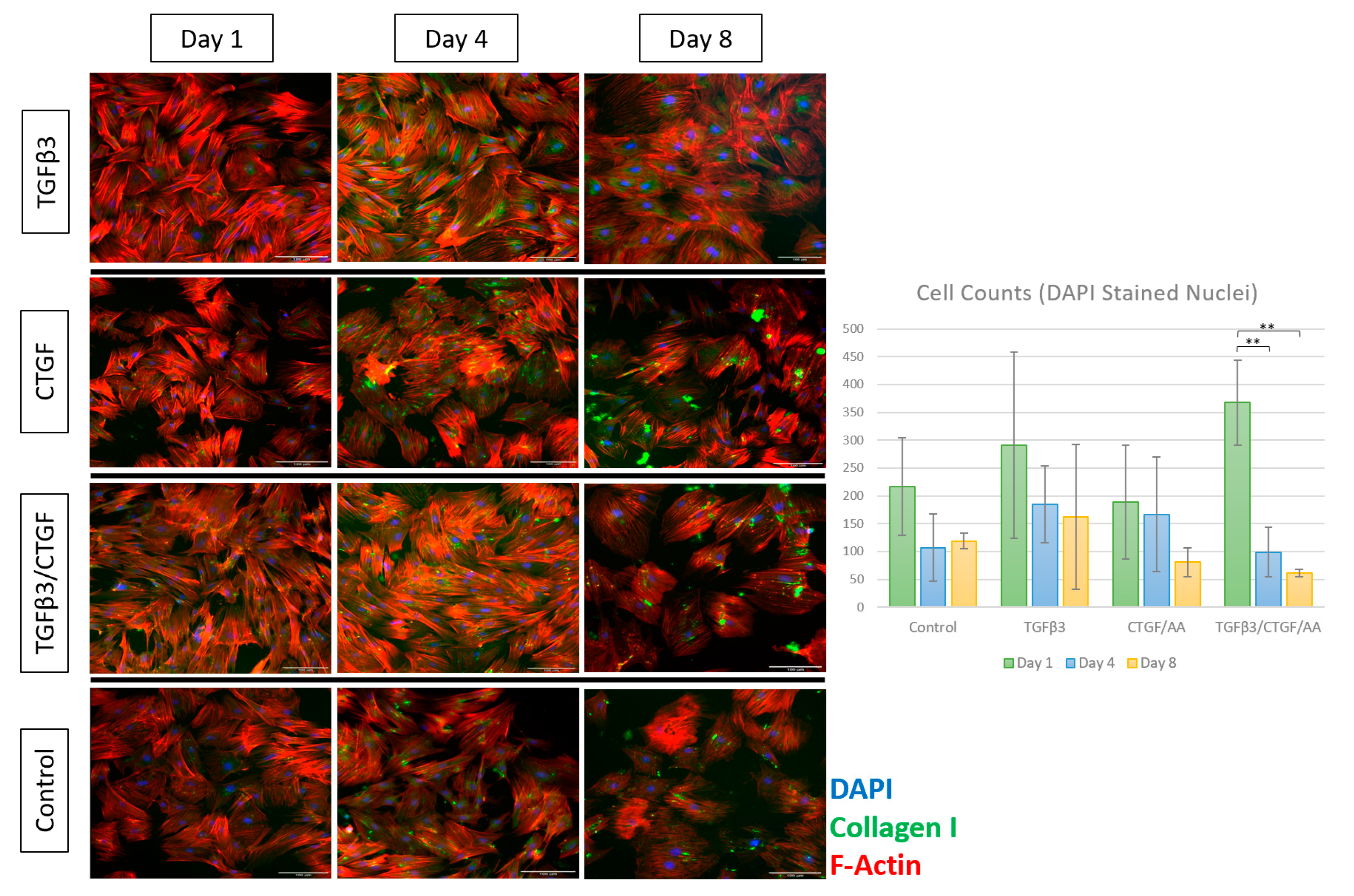 Bioengineering 09 00407 g004