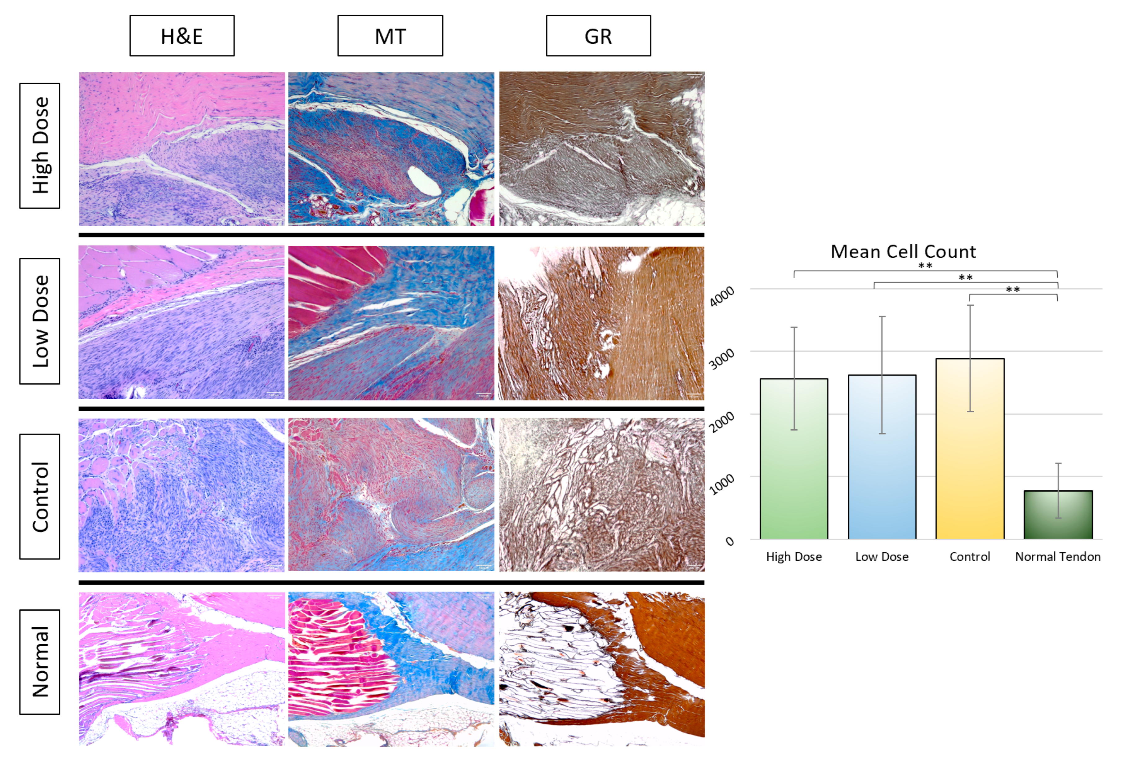 Bioengineering 09 00407 g009