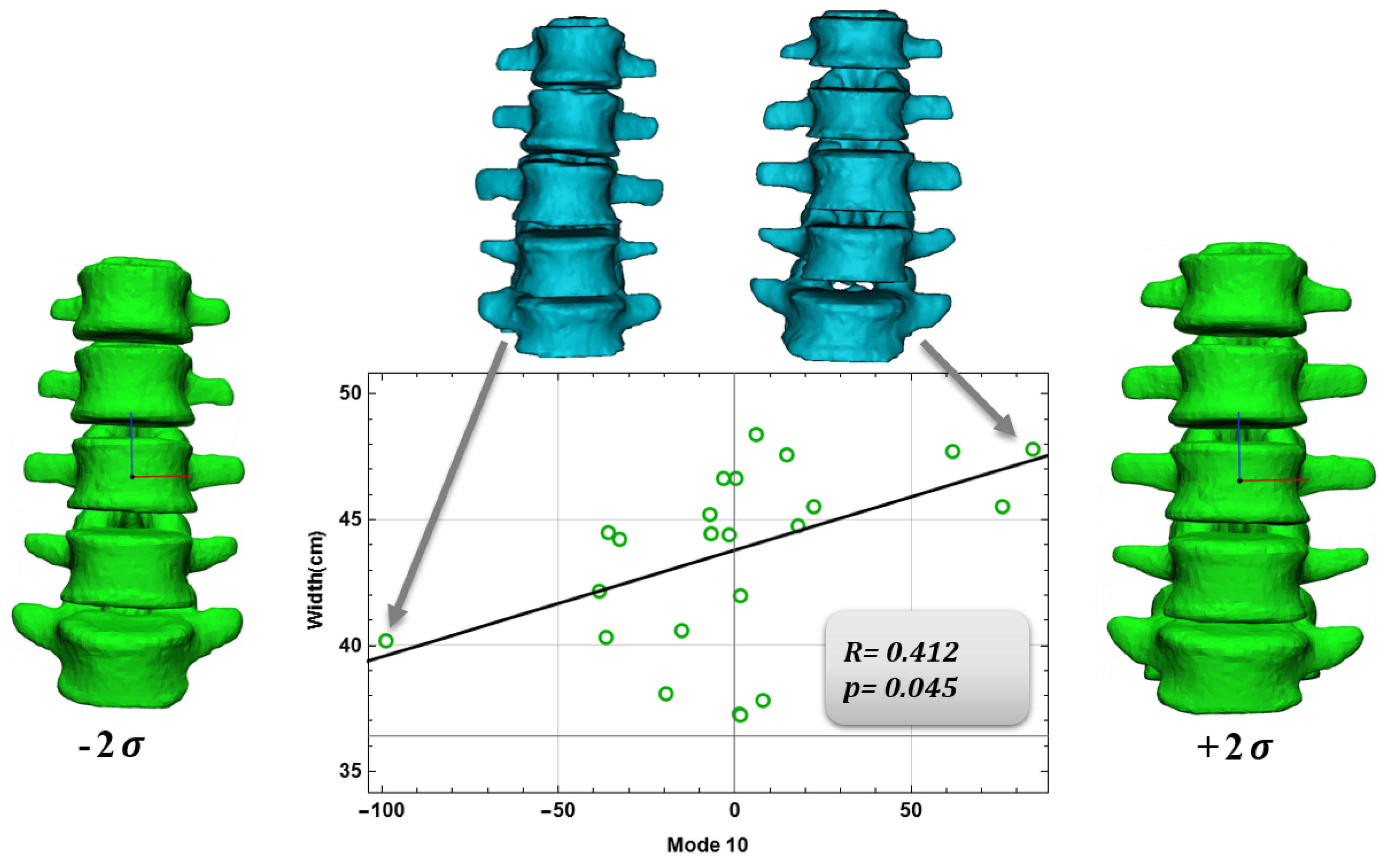 Bioengineering 09 00408 g006 Bioengineering 09 00408 g006