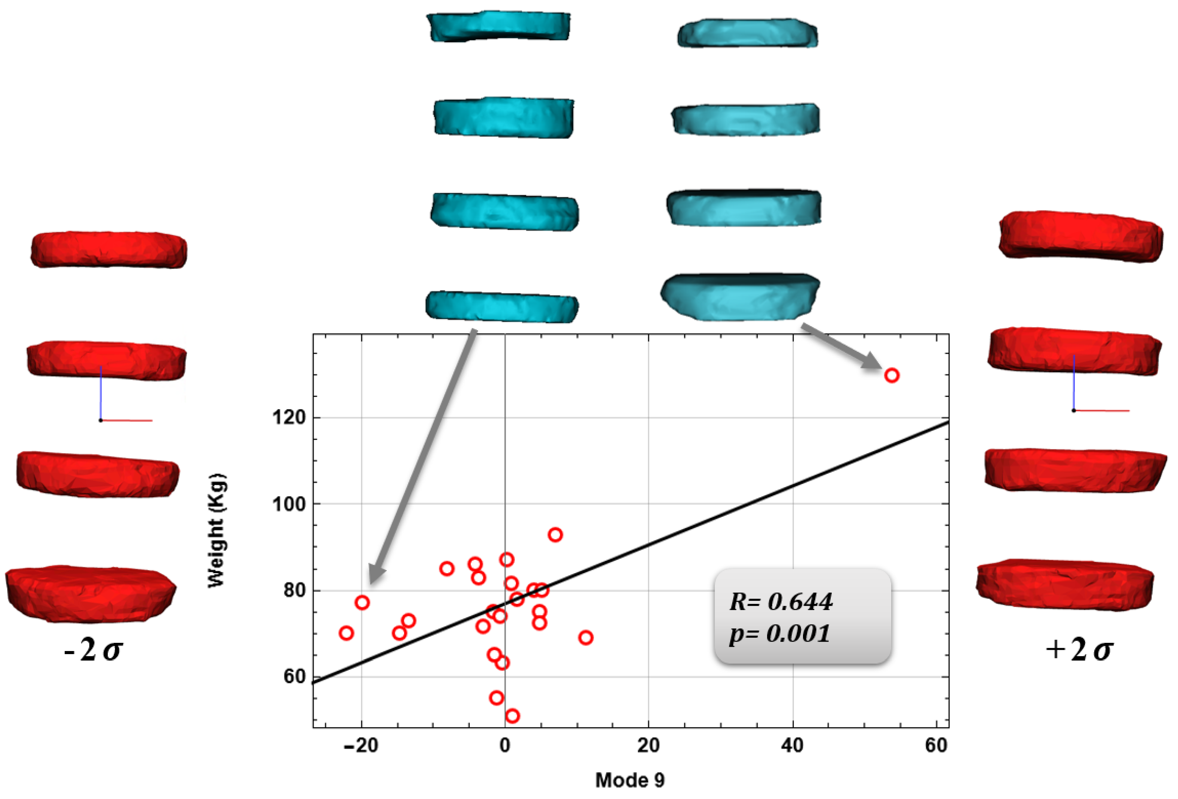 Bioengineering 09 00408 g007 Bioengineering 09 00408 g007