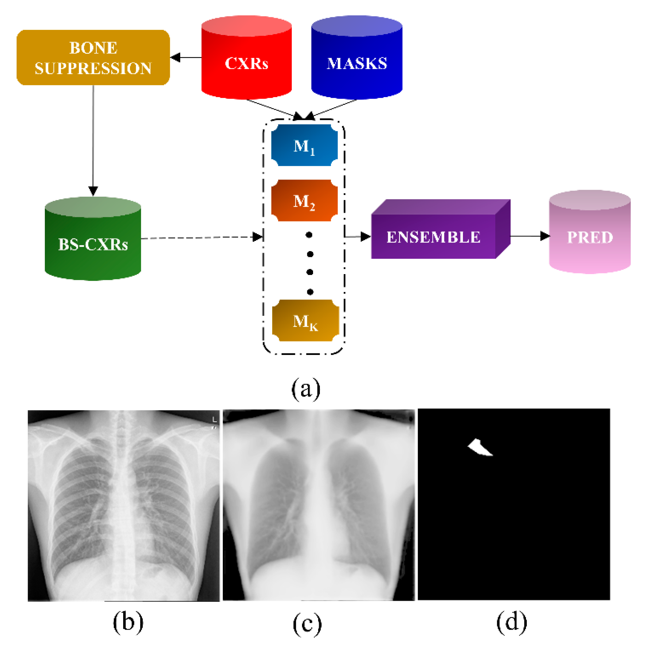 Bioengineering 09 00413 g001