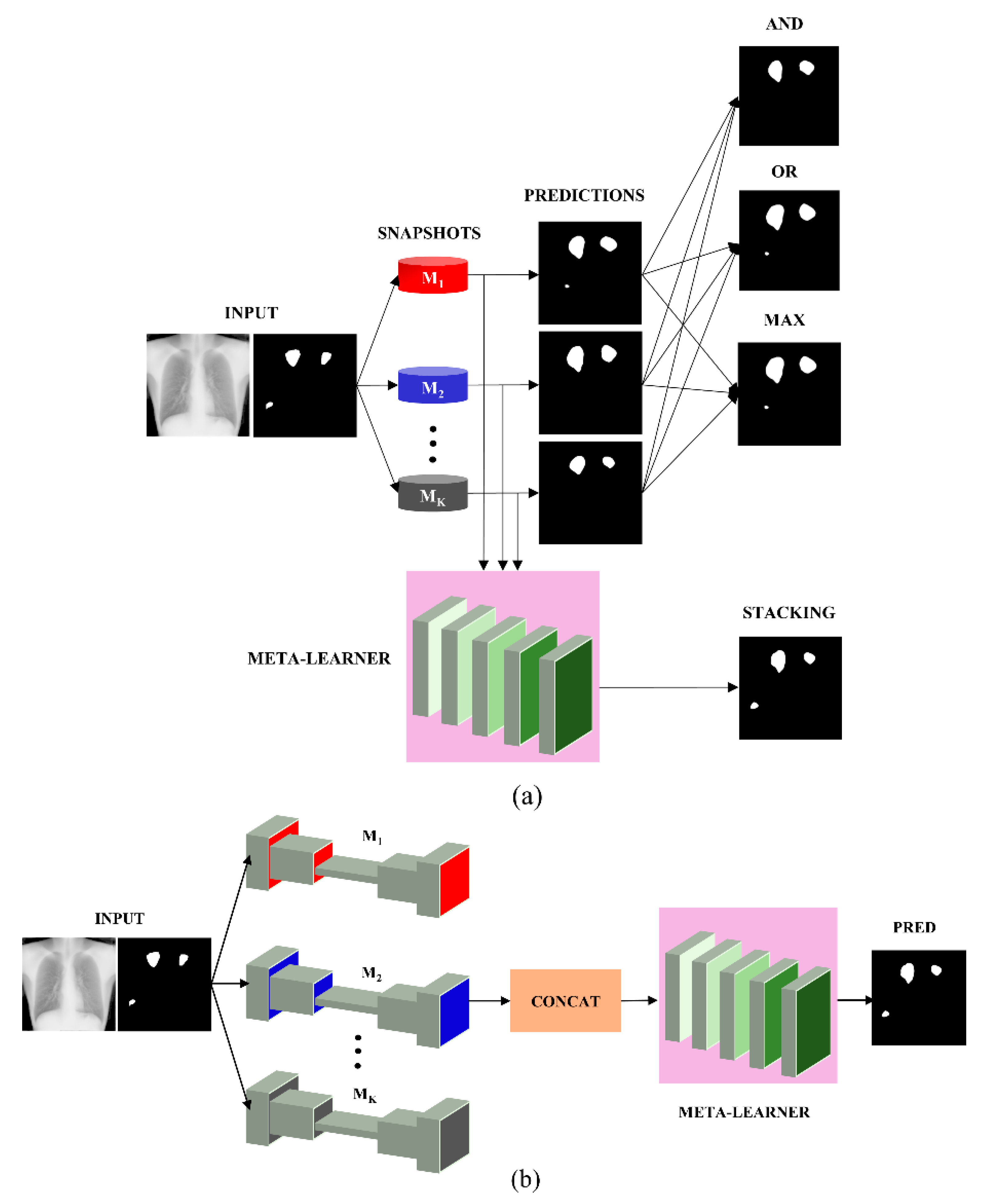 Bioengineering 09 00413 g002