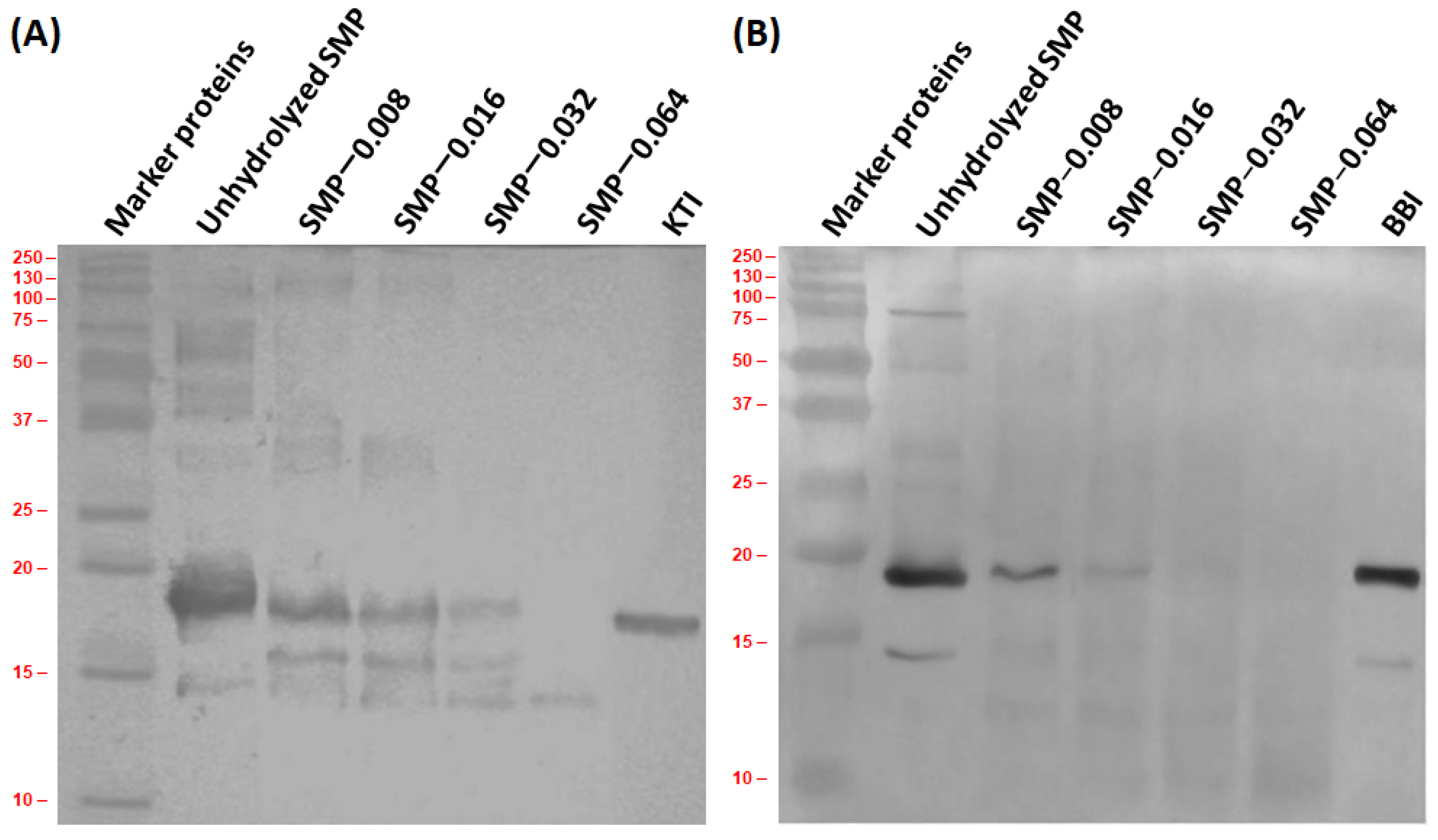 Bioengineering 09 00418 g004 Bioengineering 09 00418 g004