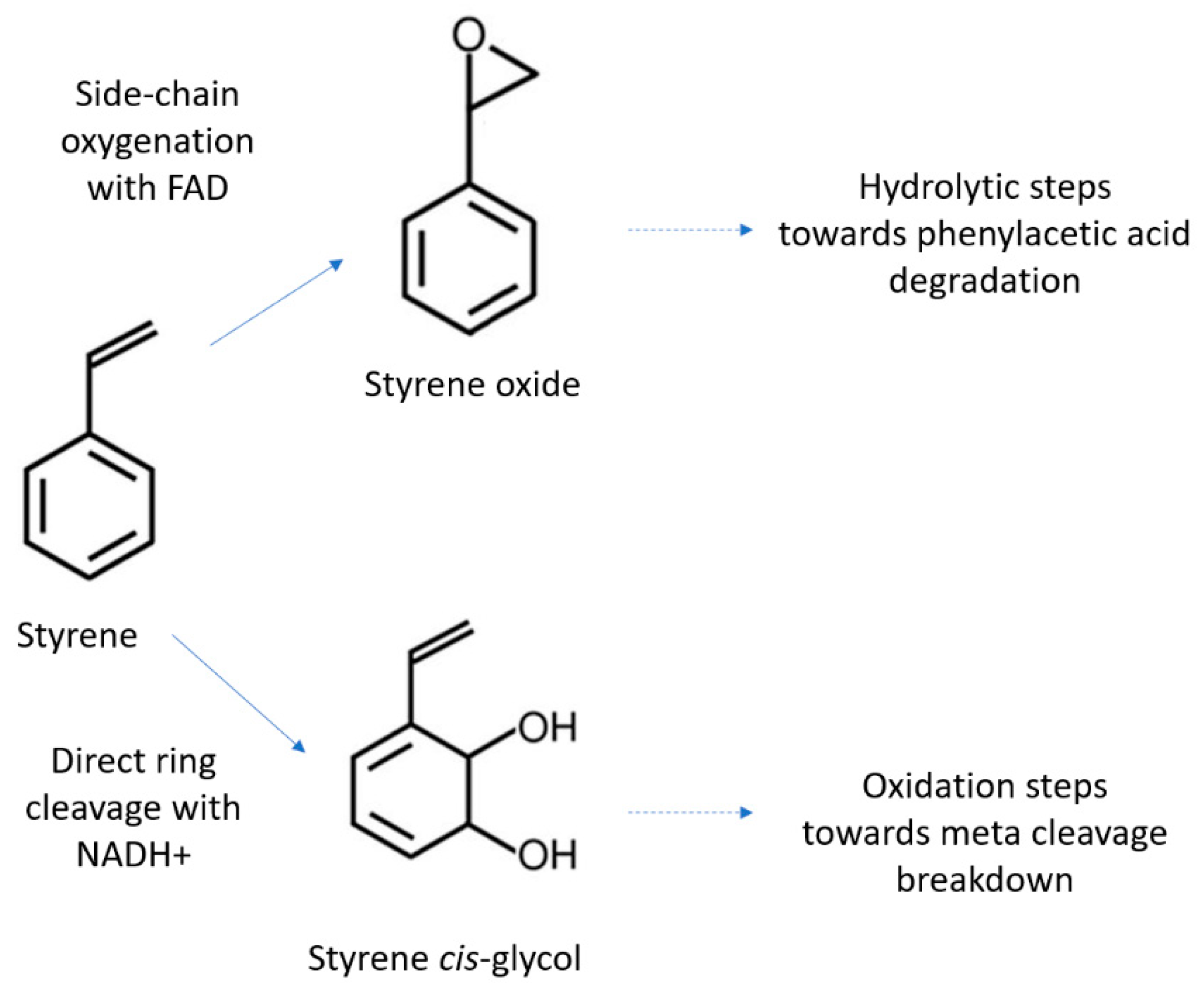 Bioengineering 09 00432 g003 Bioengineering 09 00432 g003