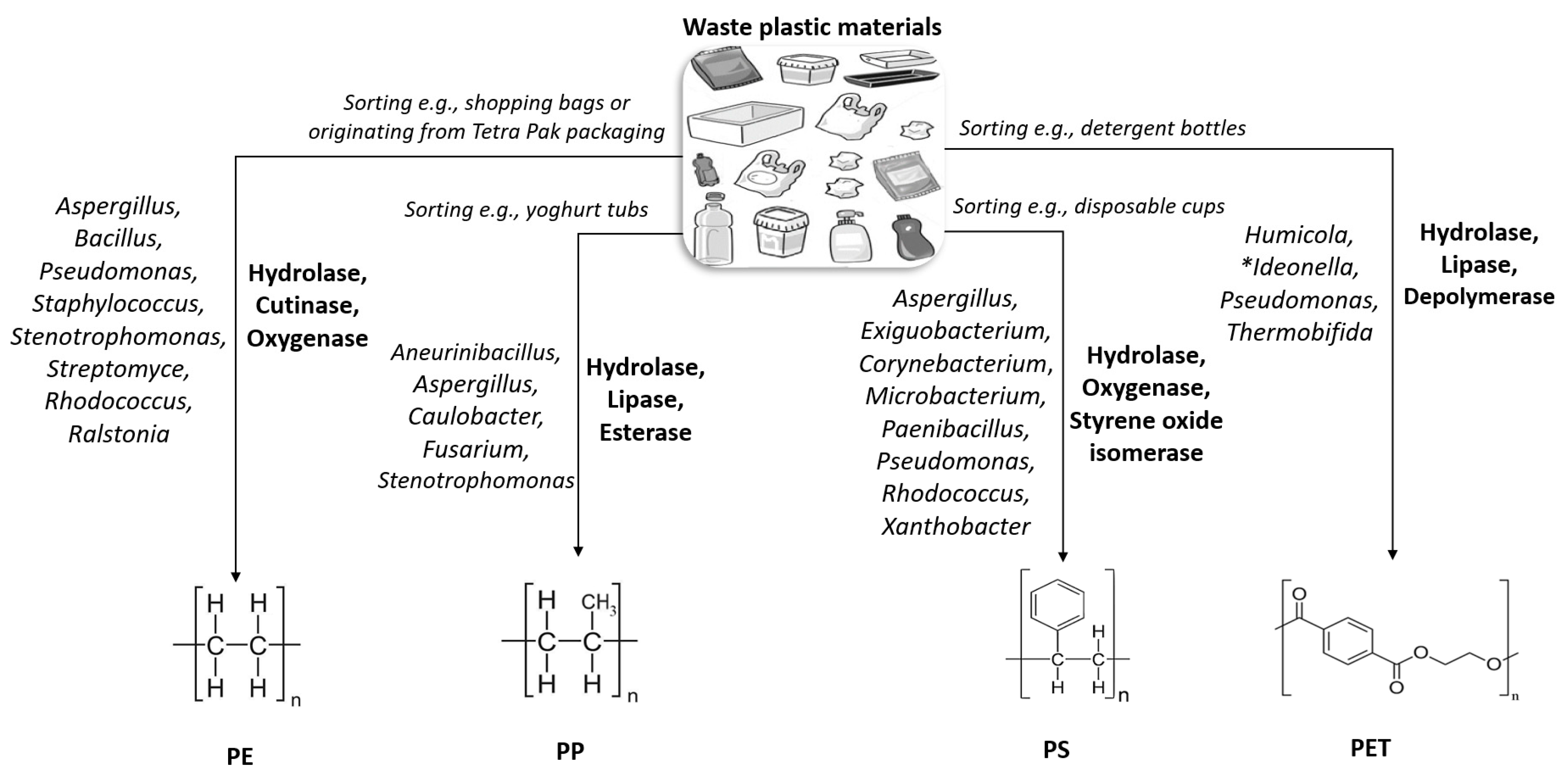 Bioengineering 09 00432 g004 Bioengineering 09 00432 g004