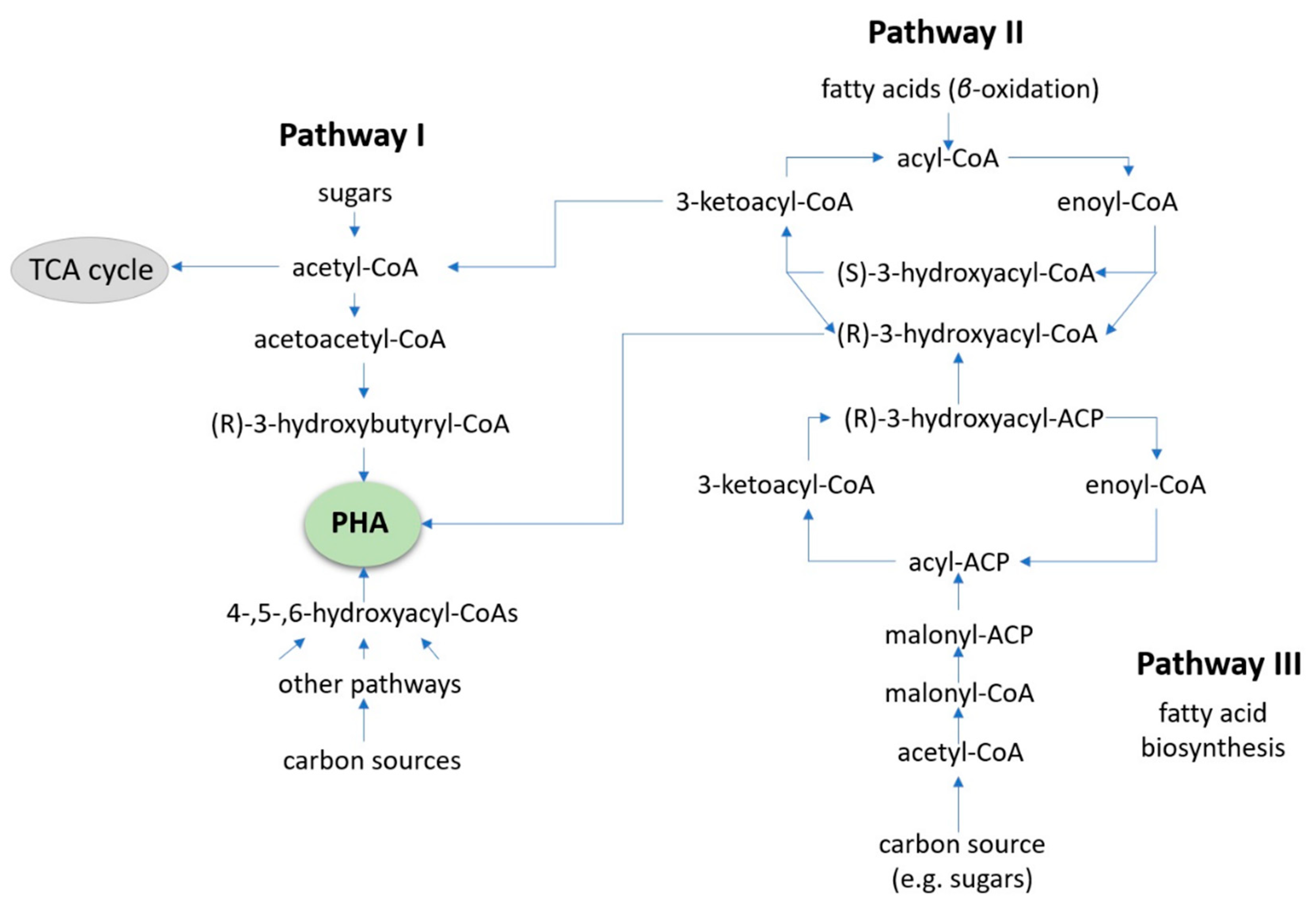 Bioengineering 09 00432 g006 Bioengineering 09 00432 g006