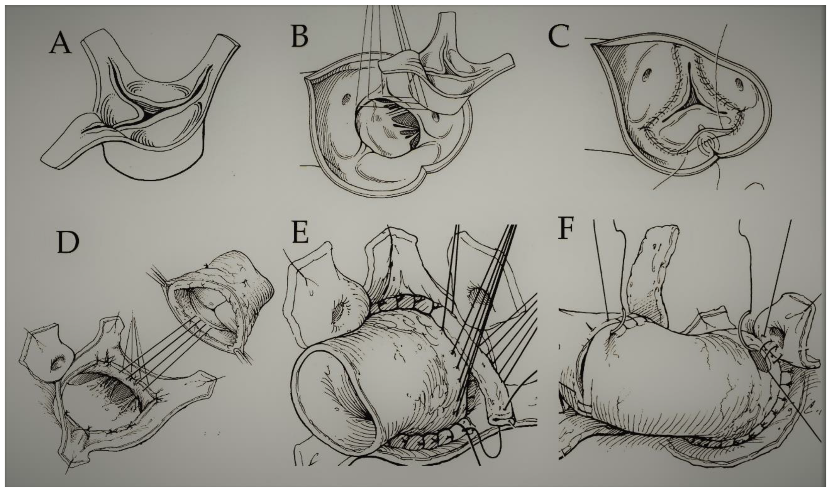 Bioengineering 09 00456 g001