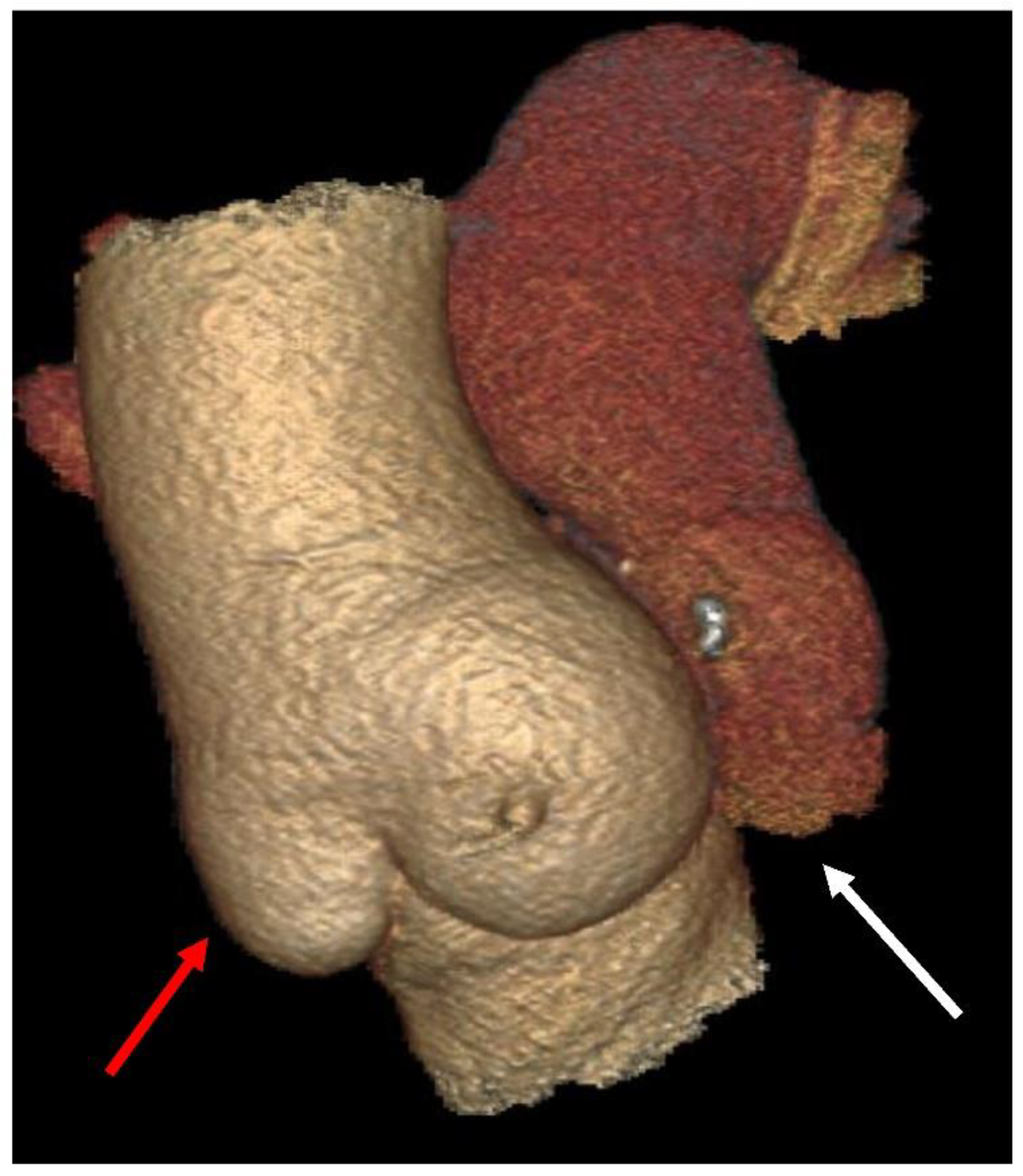 Bioengineering 09 00456 g002