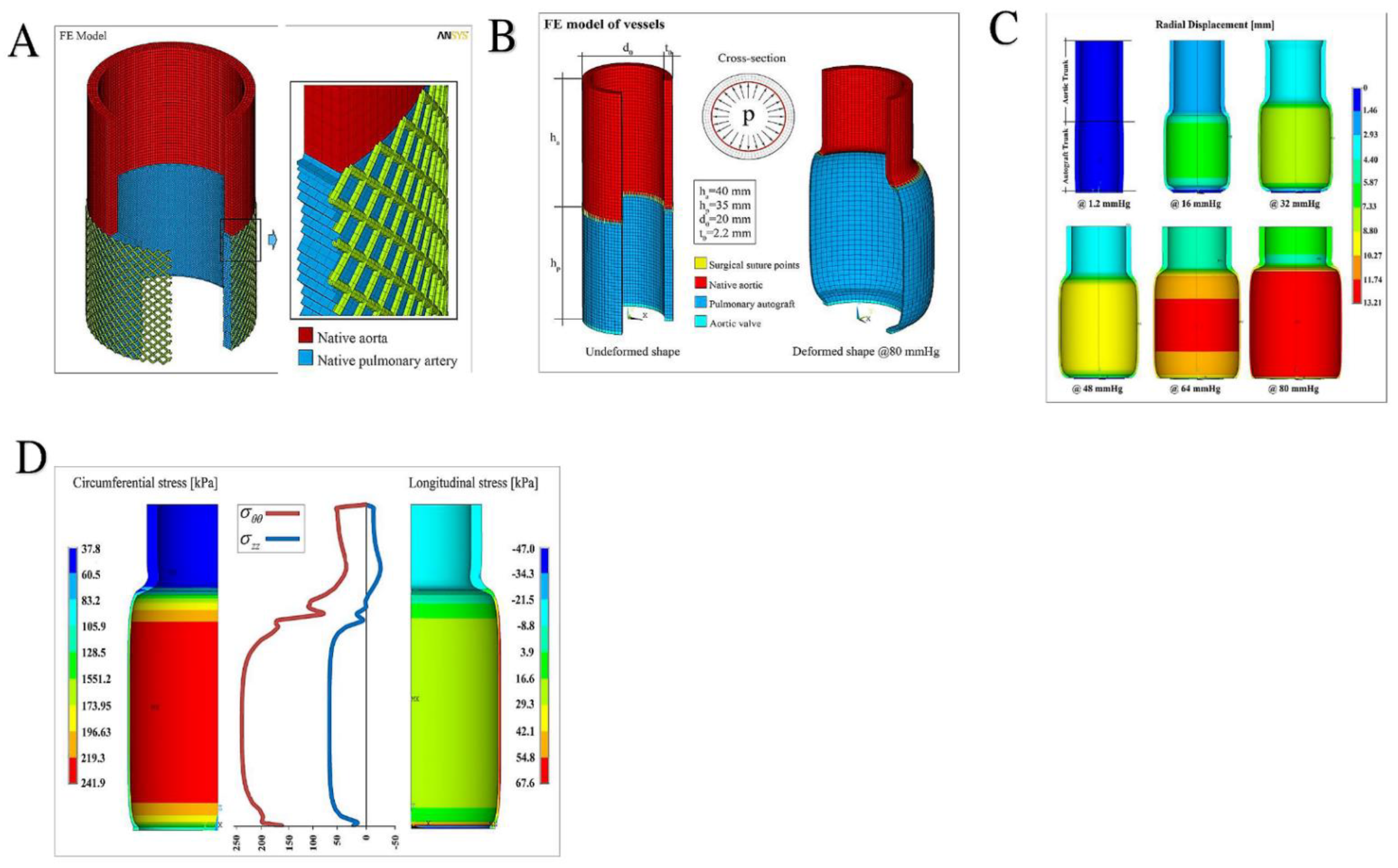 Bioengineering 09 00456 g006