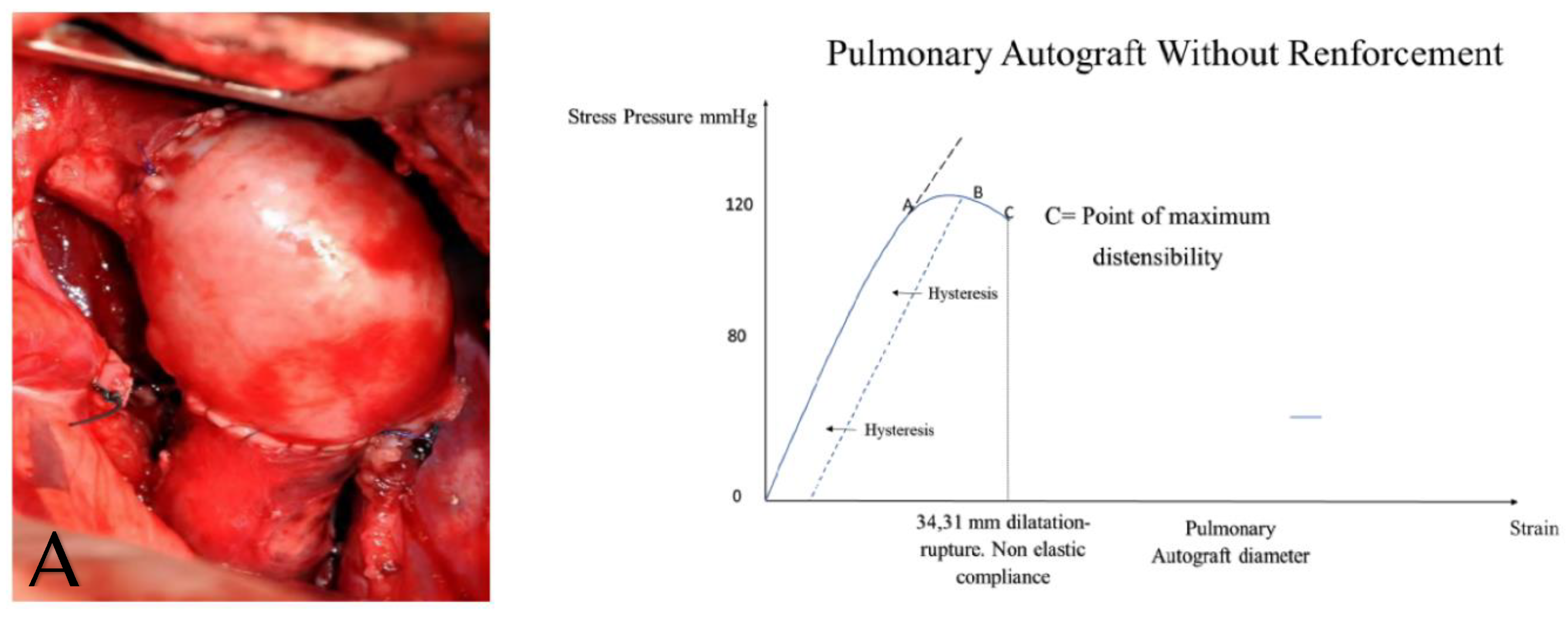 Bioengineering 09 00456 g008a