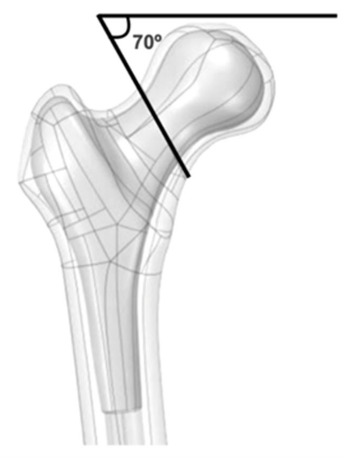 Bioengineering 09 00464 g001