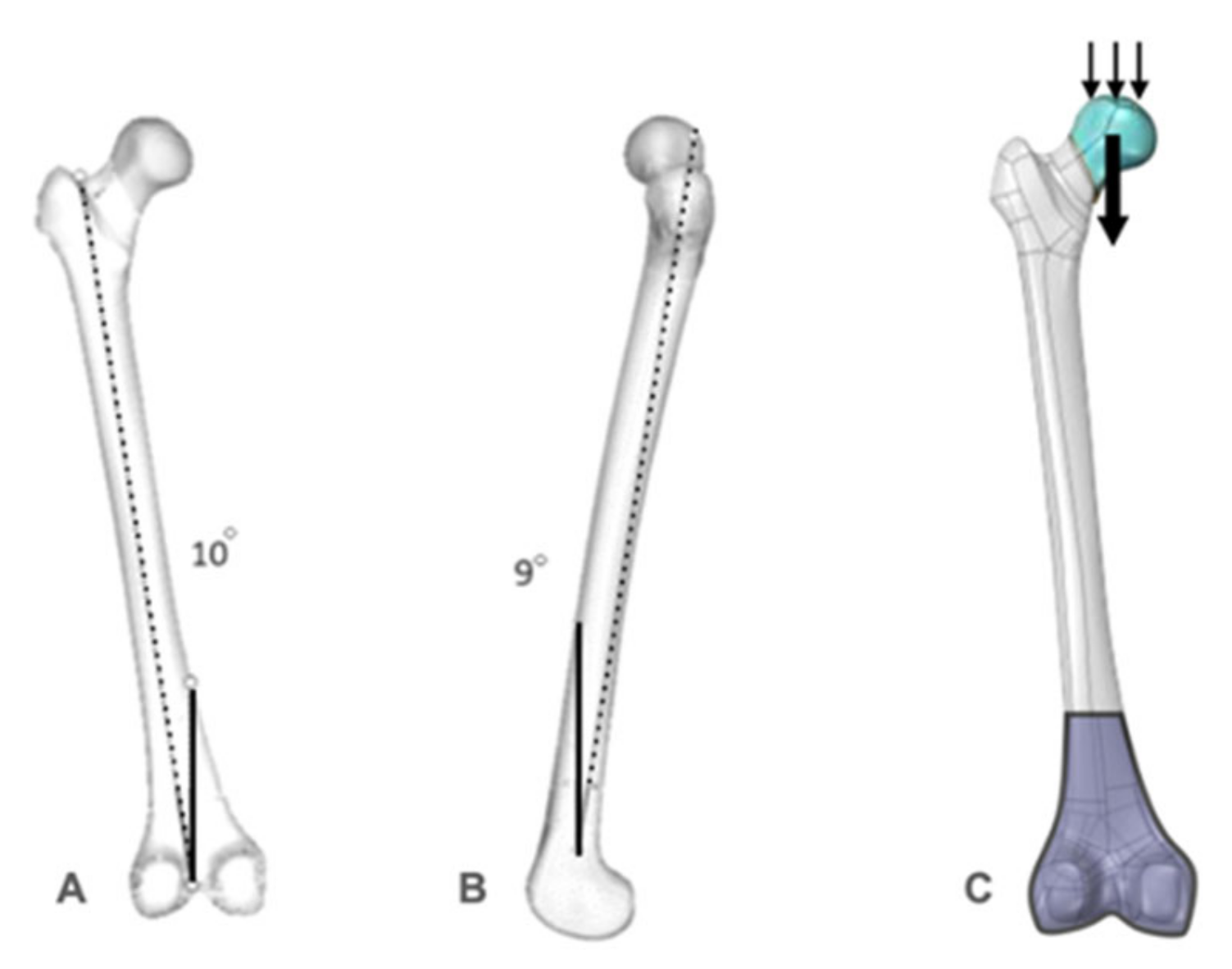 Bioengineering 09 00464 g004