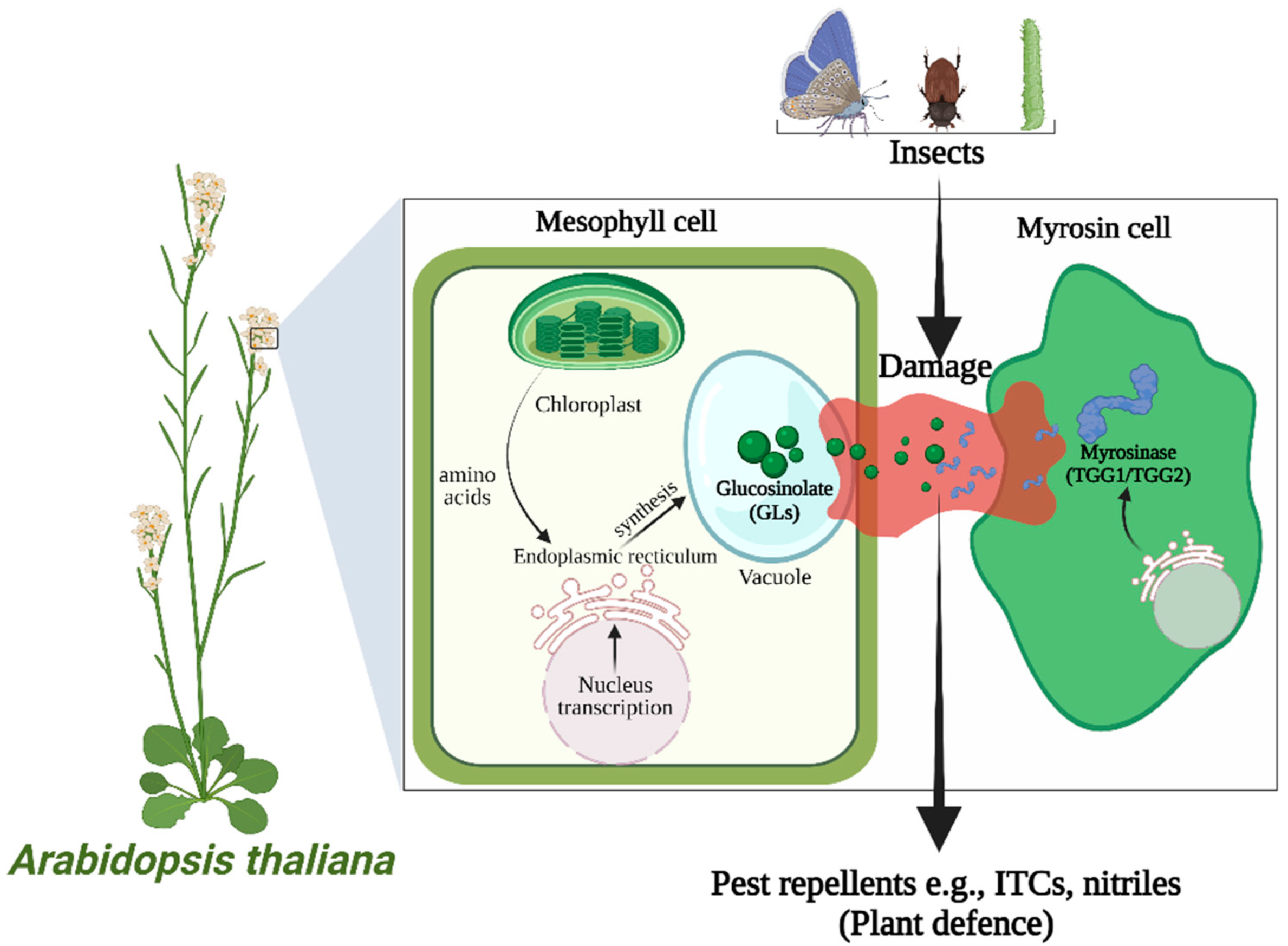 Bioengineering 09 00470 g002