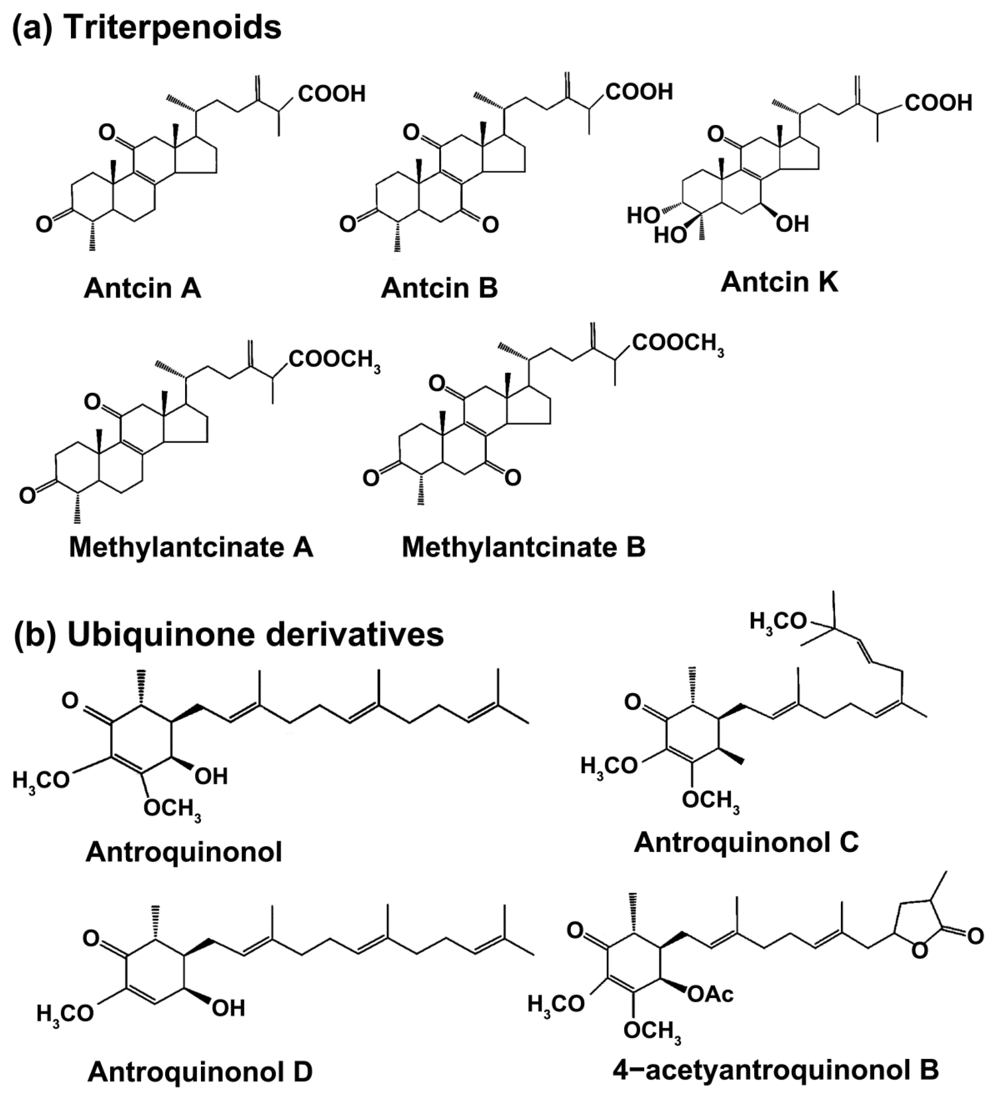 Bioengineering 09 00494 g001a Bioengineering 09 00494 g001a
