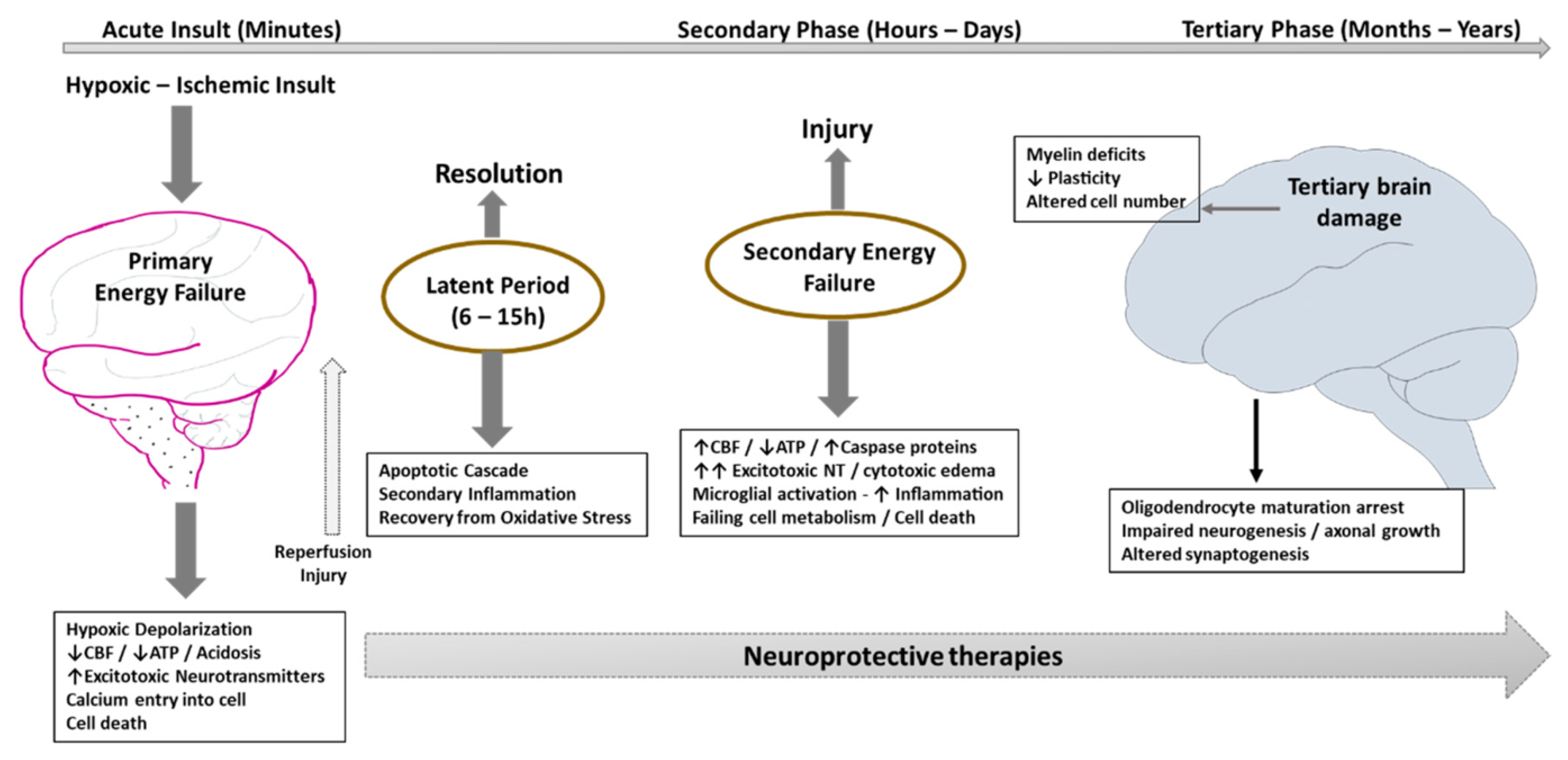 Bioengineering 09 00498 g001 Bioengineering 09 00498 g001