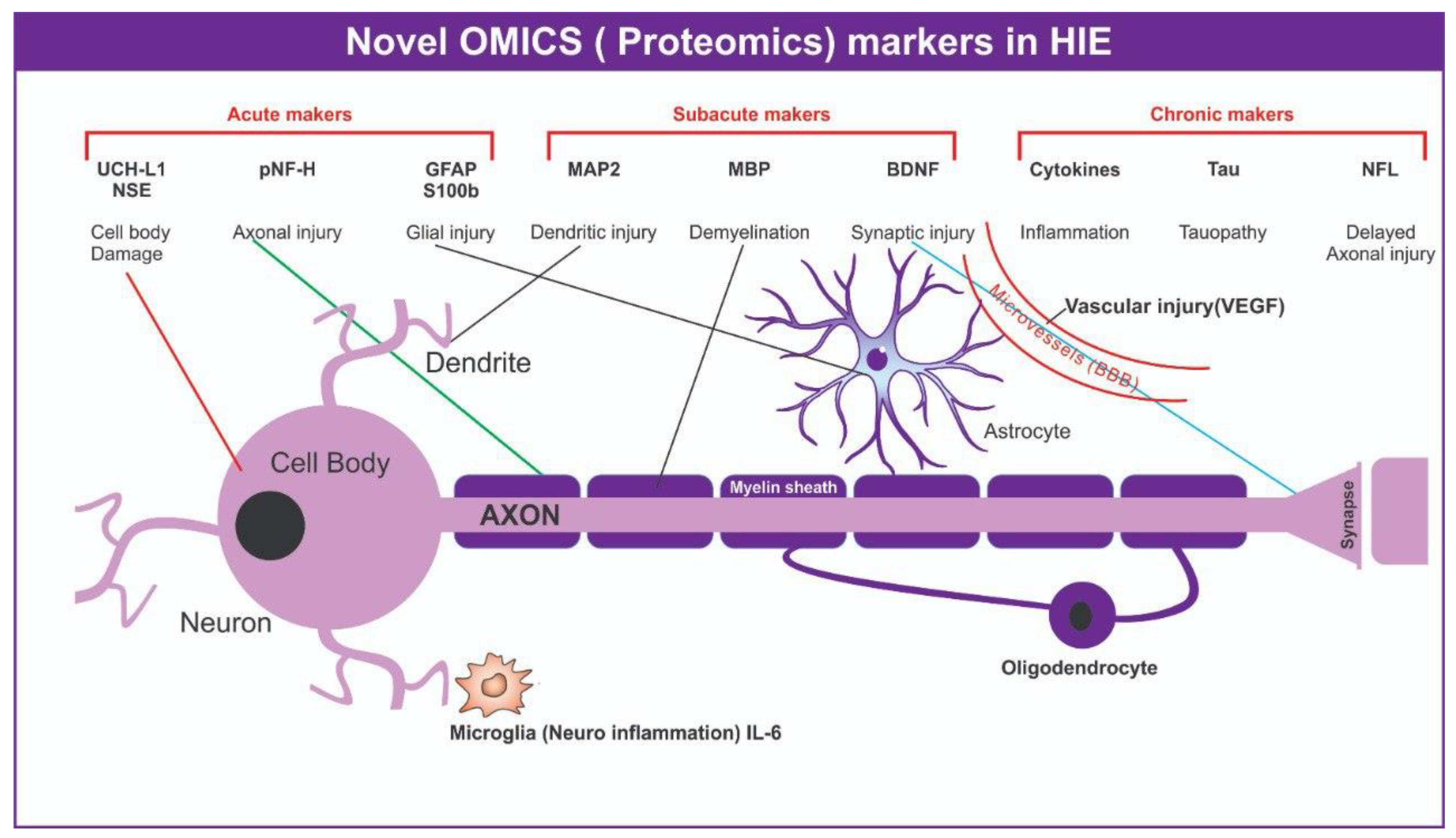 Bioengineering 09 00498 g003 Bioengineering 09 00498 g003