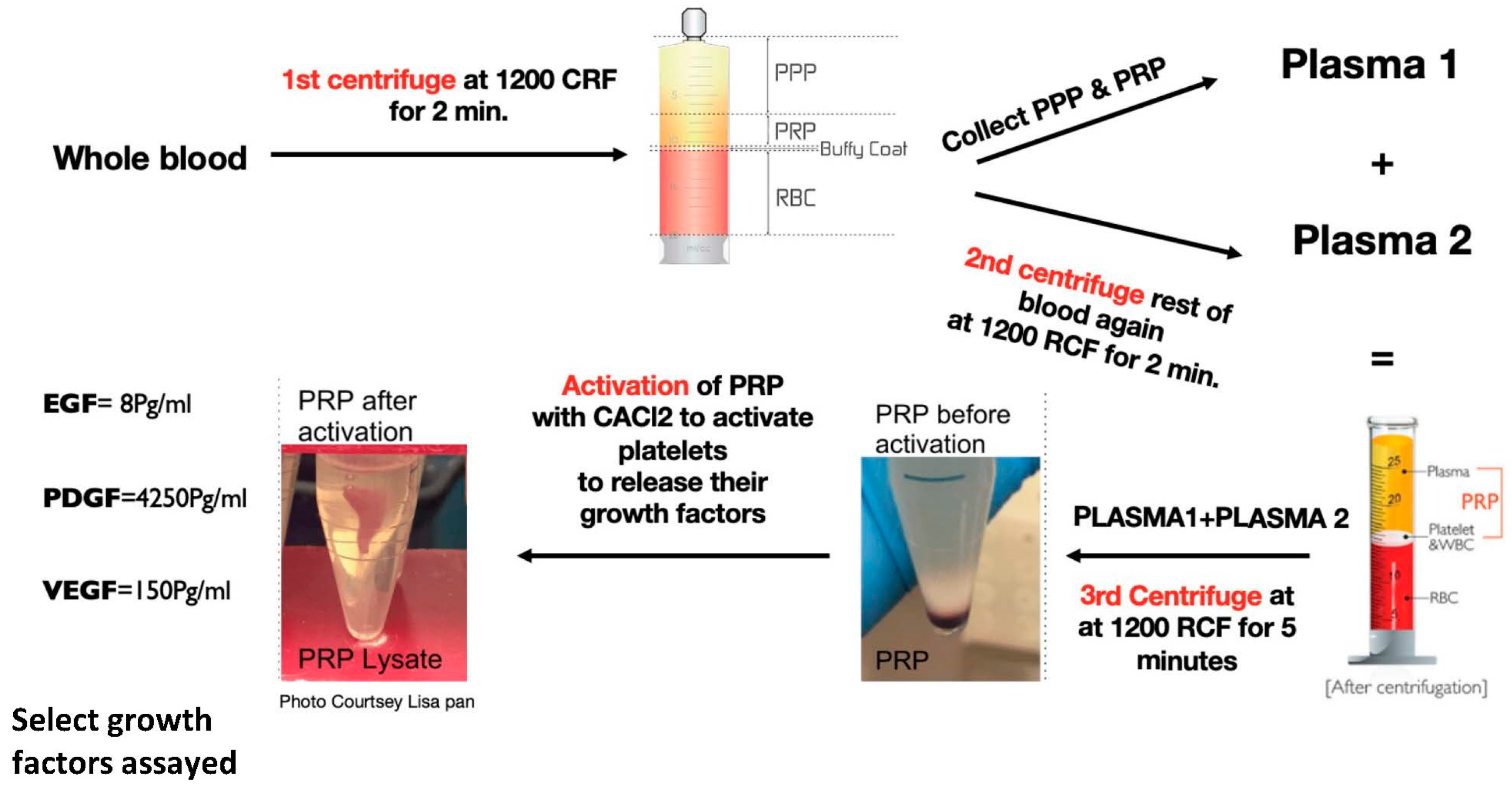 Bioengineering 09 00513 g001