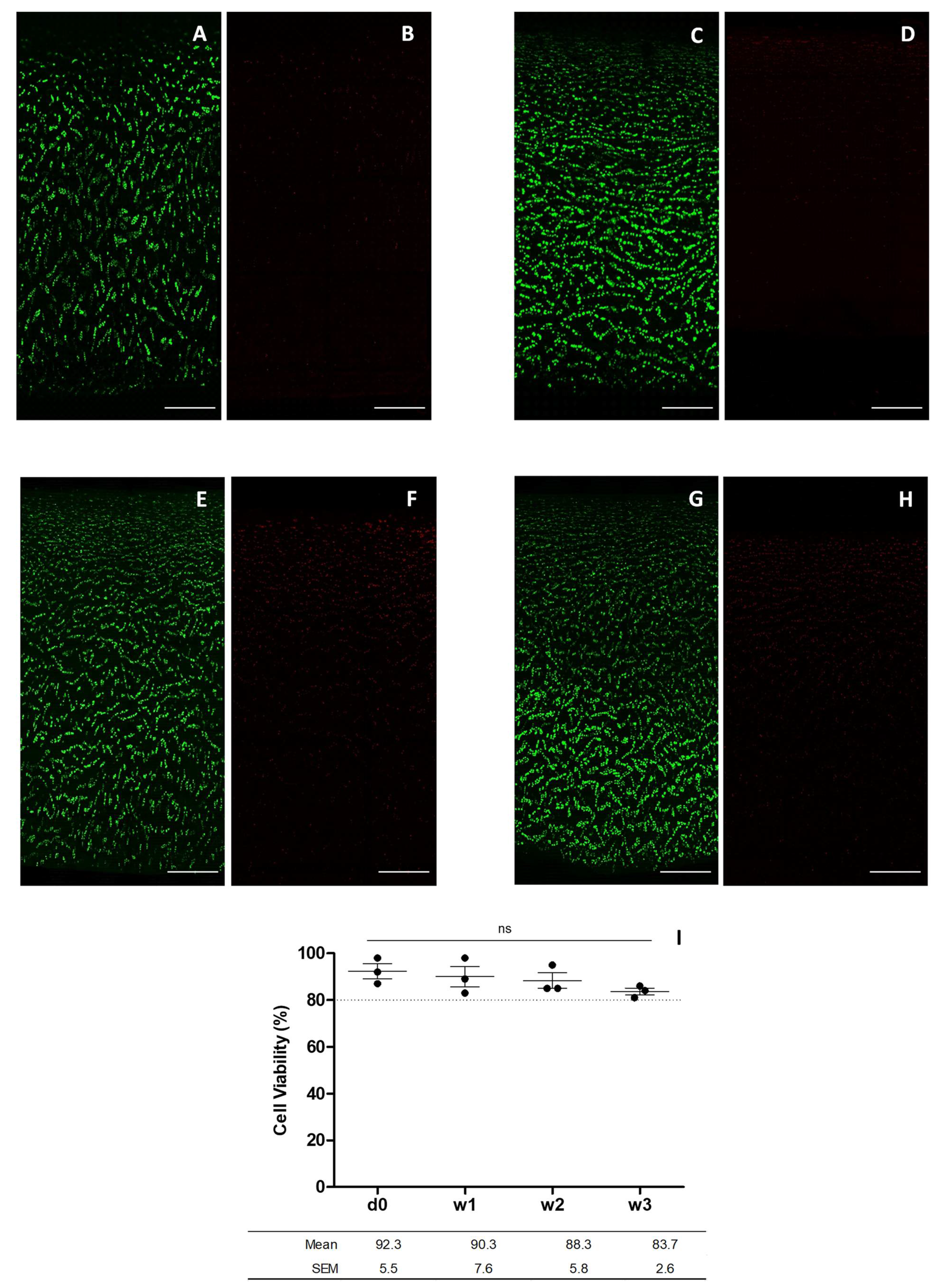 Bioengineering | Free Full-Text | A Comparative Study Using Fluorescent  Confocal Microscopy and Flow Cytometry to Evaluate Chondrocyte Viability in  Human Osteochondral Allografts