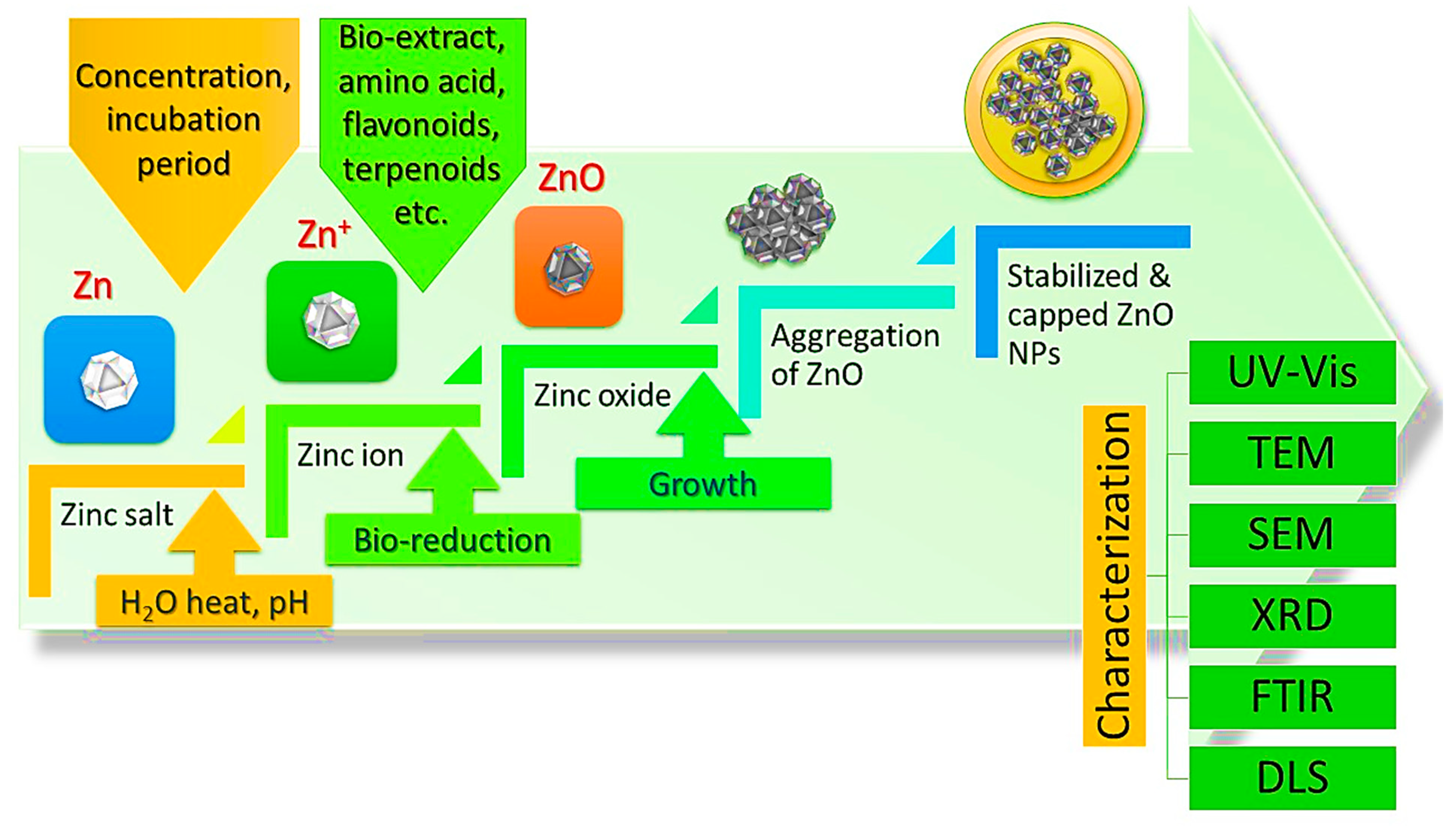 Bioengineering 09 00541 g005 Bioengineering 09 00541 g005
